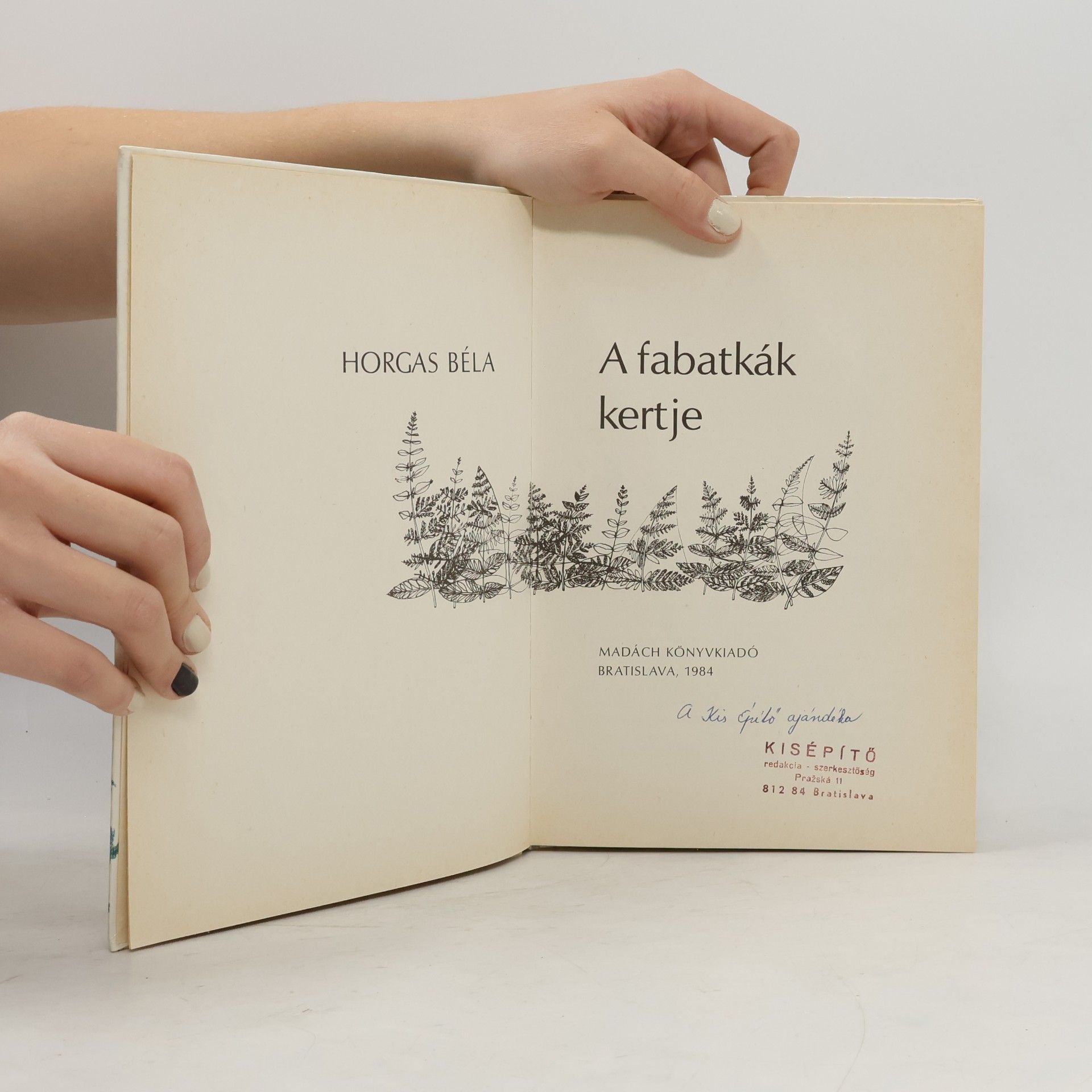 Béla Horgas A fabatkák kertje