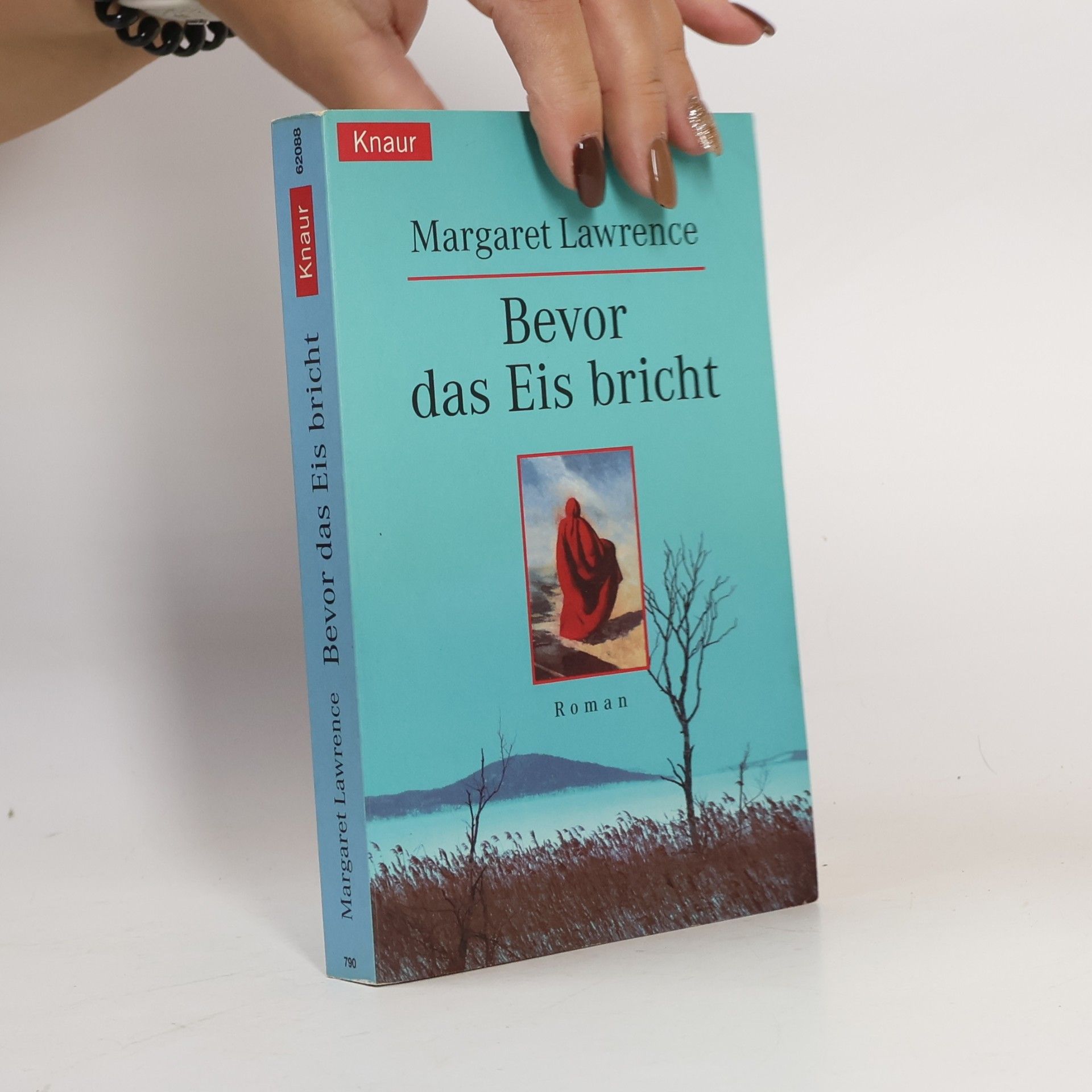 Bevor das Eis bricht