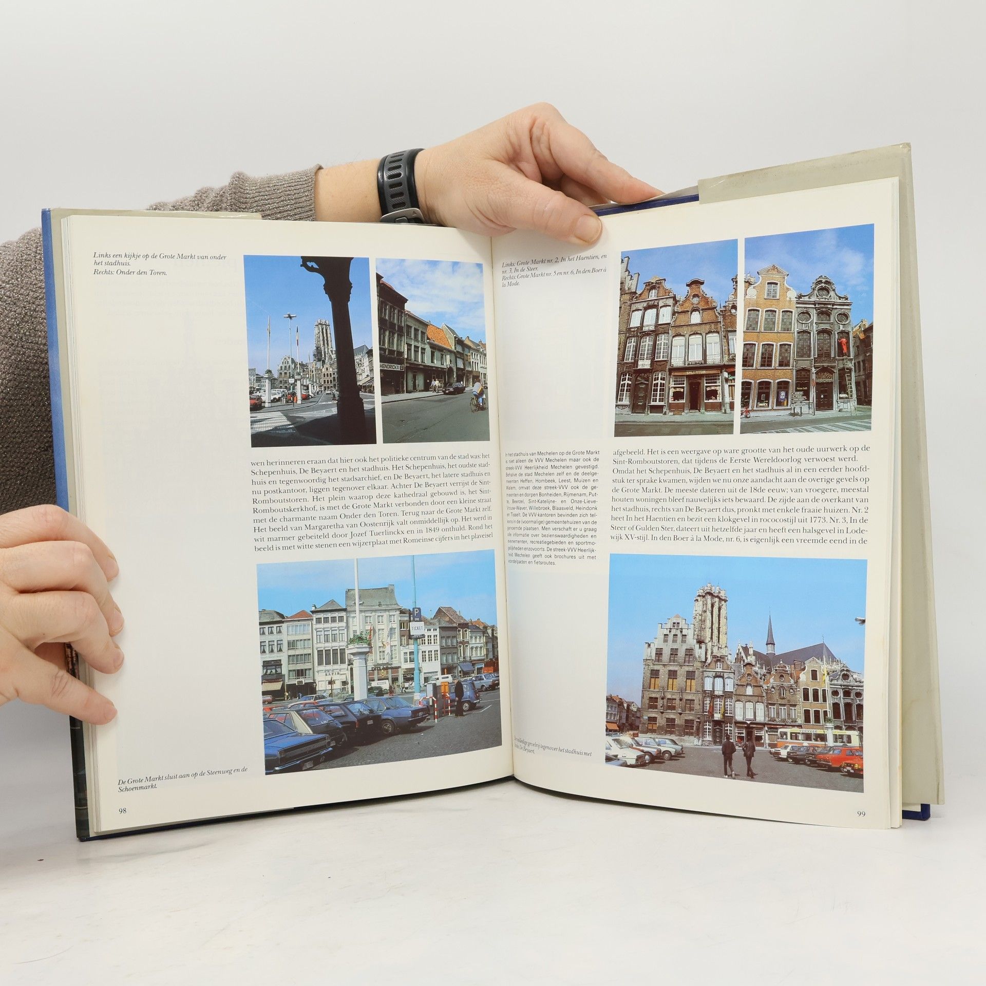 Bob Dries Dwalen door Mechelen
