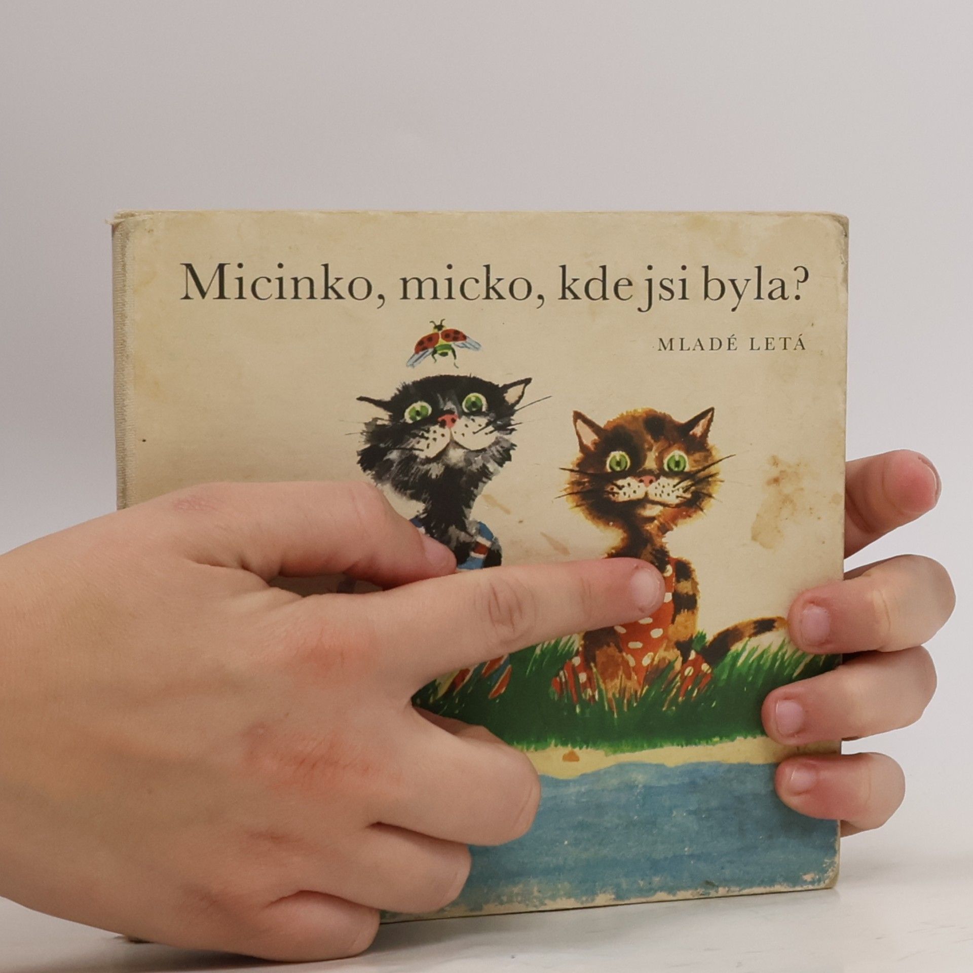 Kolektiv autorů Micinko, micko, kde jsi byla?