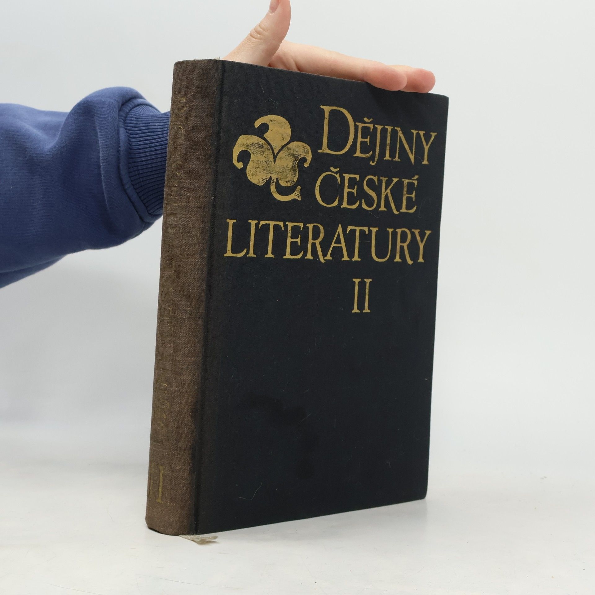 Dějiny české literatury II