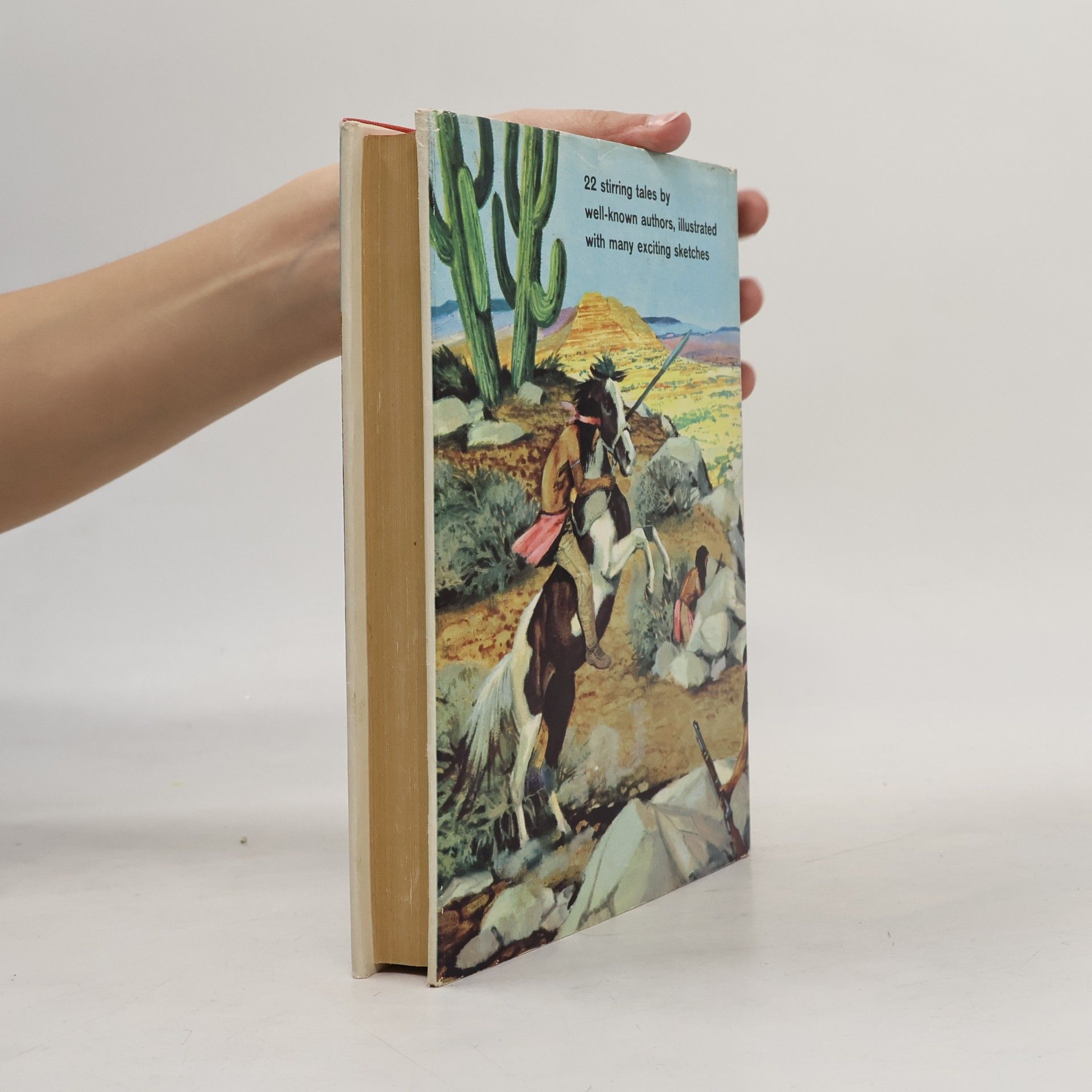 Collectif d'auteurs Stories For Boys