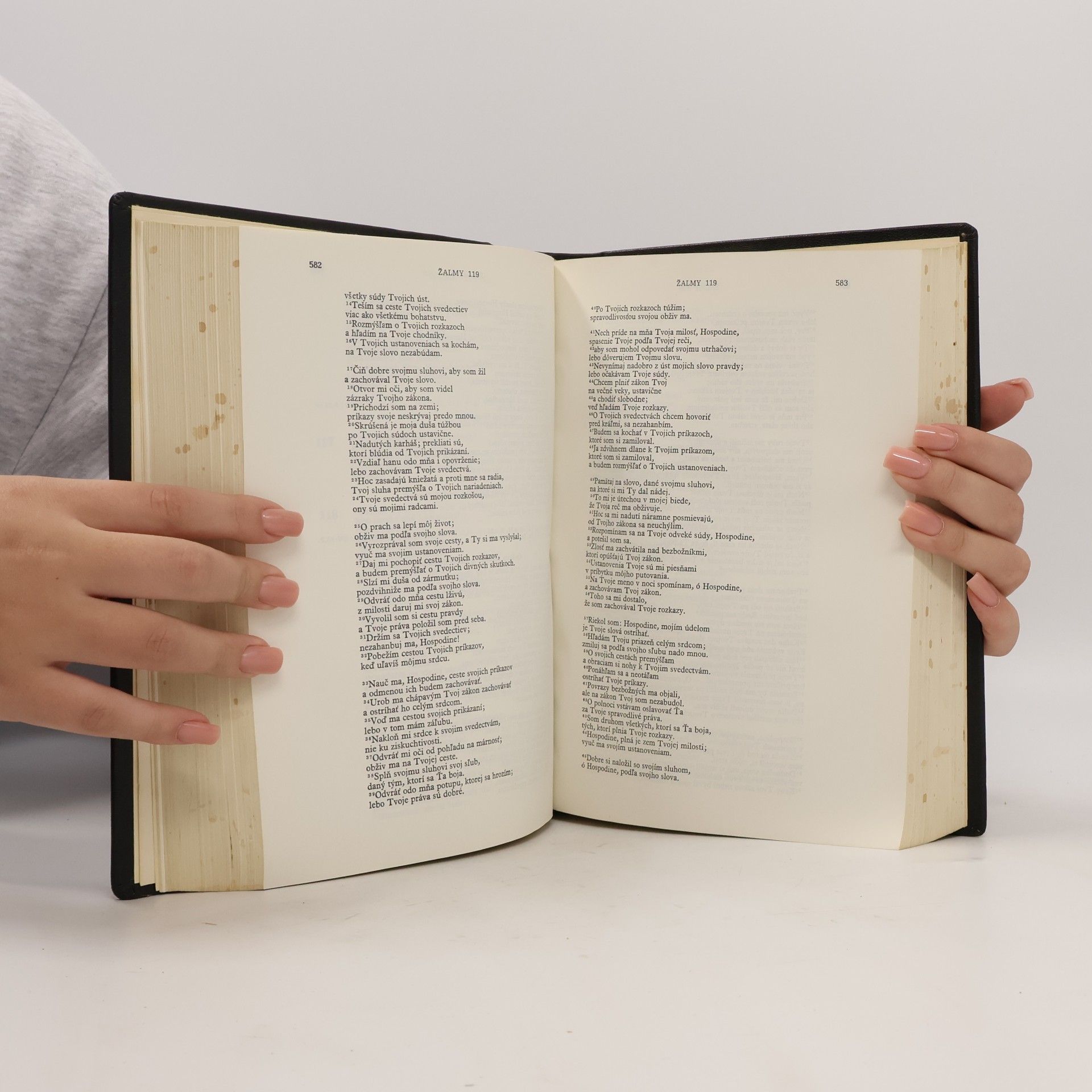 Kolektív autorov Biblia