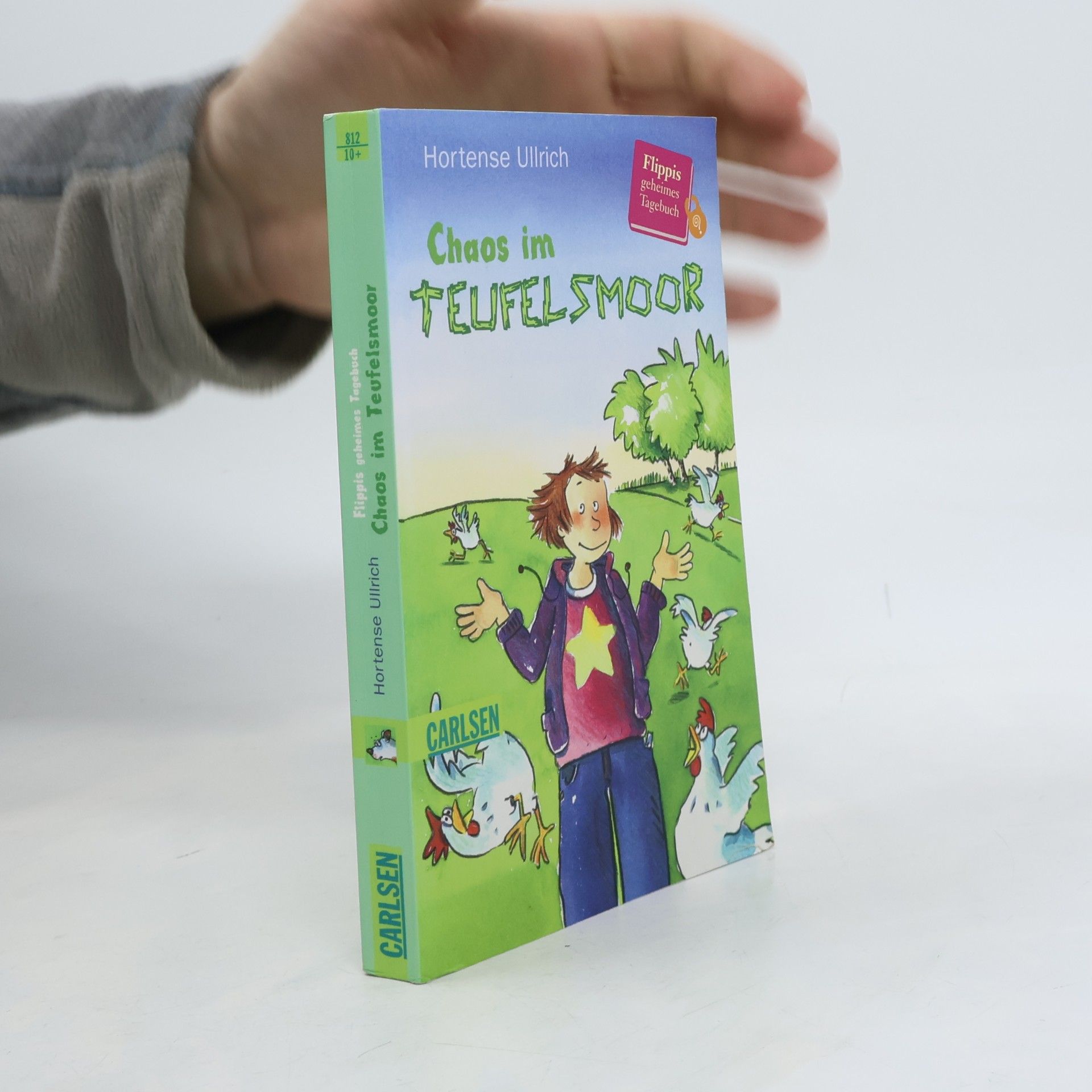 Flippis geheimes Tagebuch - 2: Chaos im Teufelsmoor