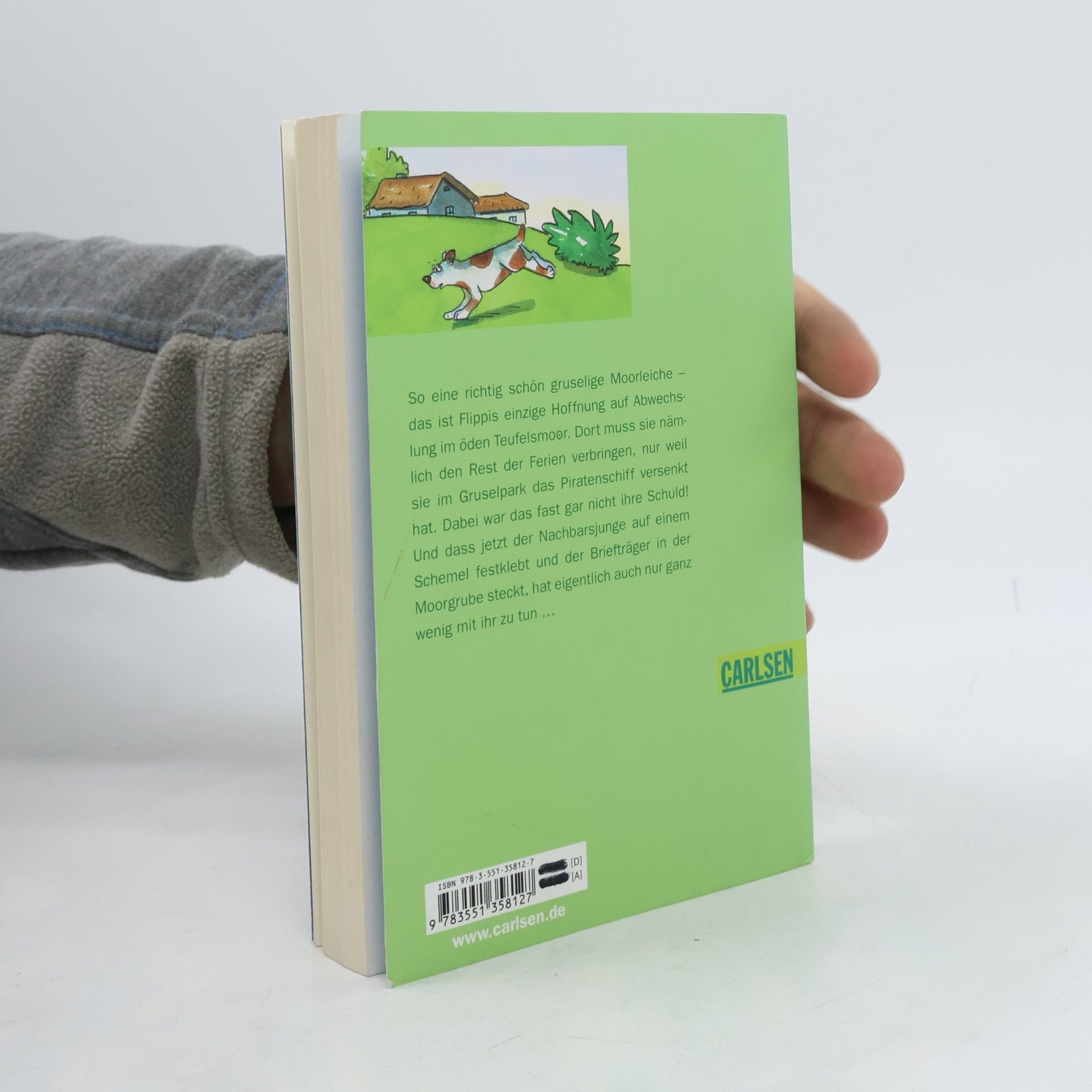Hortense Ullrich Flippis geheimes Tagebuch - 2: Chaos im Teufelsmoor
