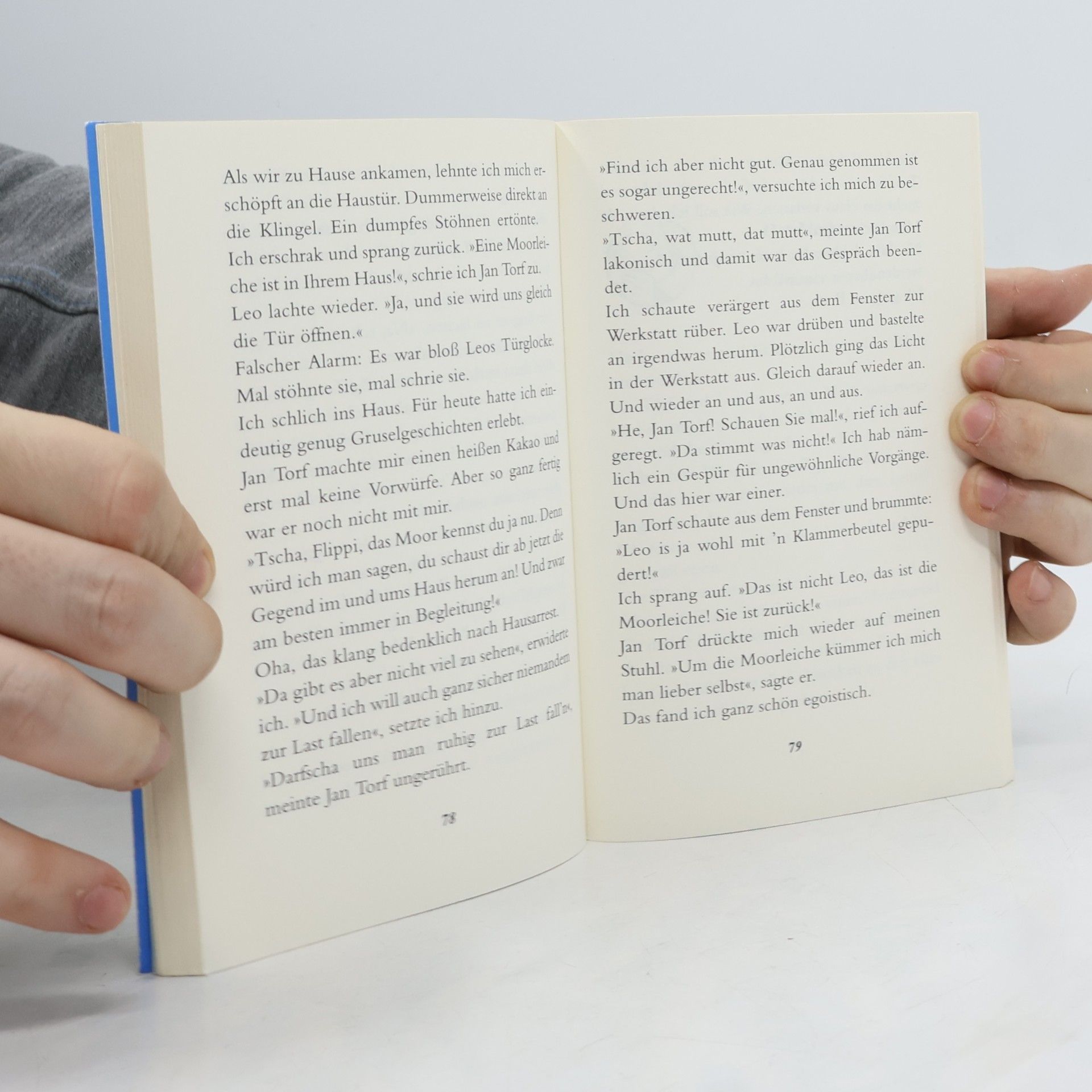 Hortense Ullrich Flippis geheimes Tagebuch - 2: Chaos im Teufelsmoor
