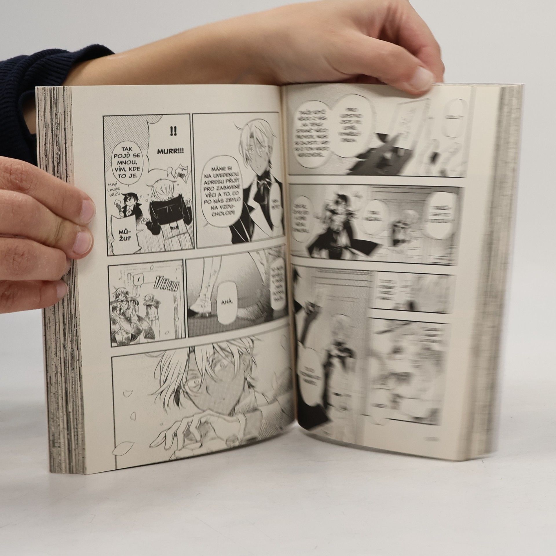 Jun Mochizuki Vanitas 1