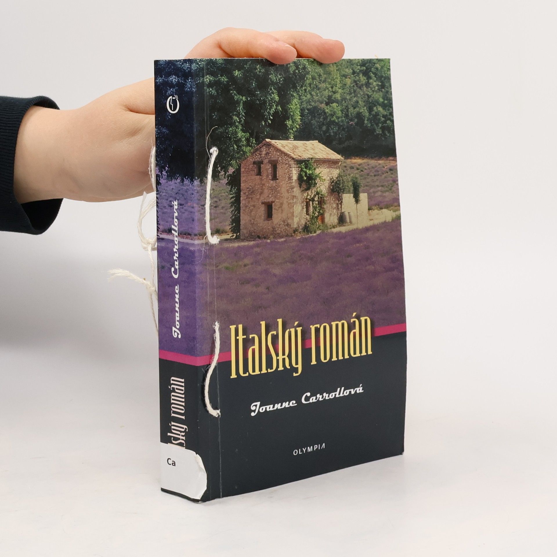 Joanne Carroll Italský román