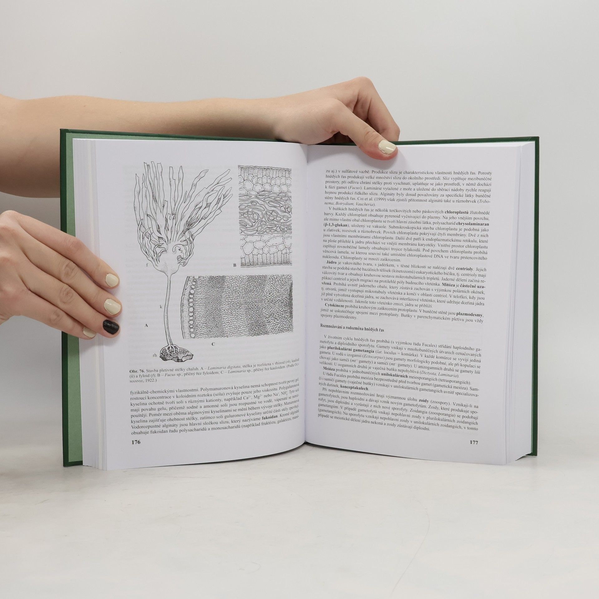 Jiří Váňa Sinice, řasy, houby, mechorosty a podobné organismy v současné biologii