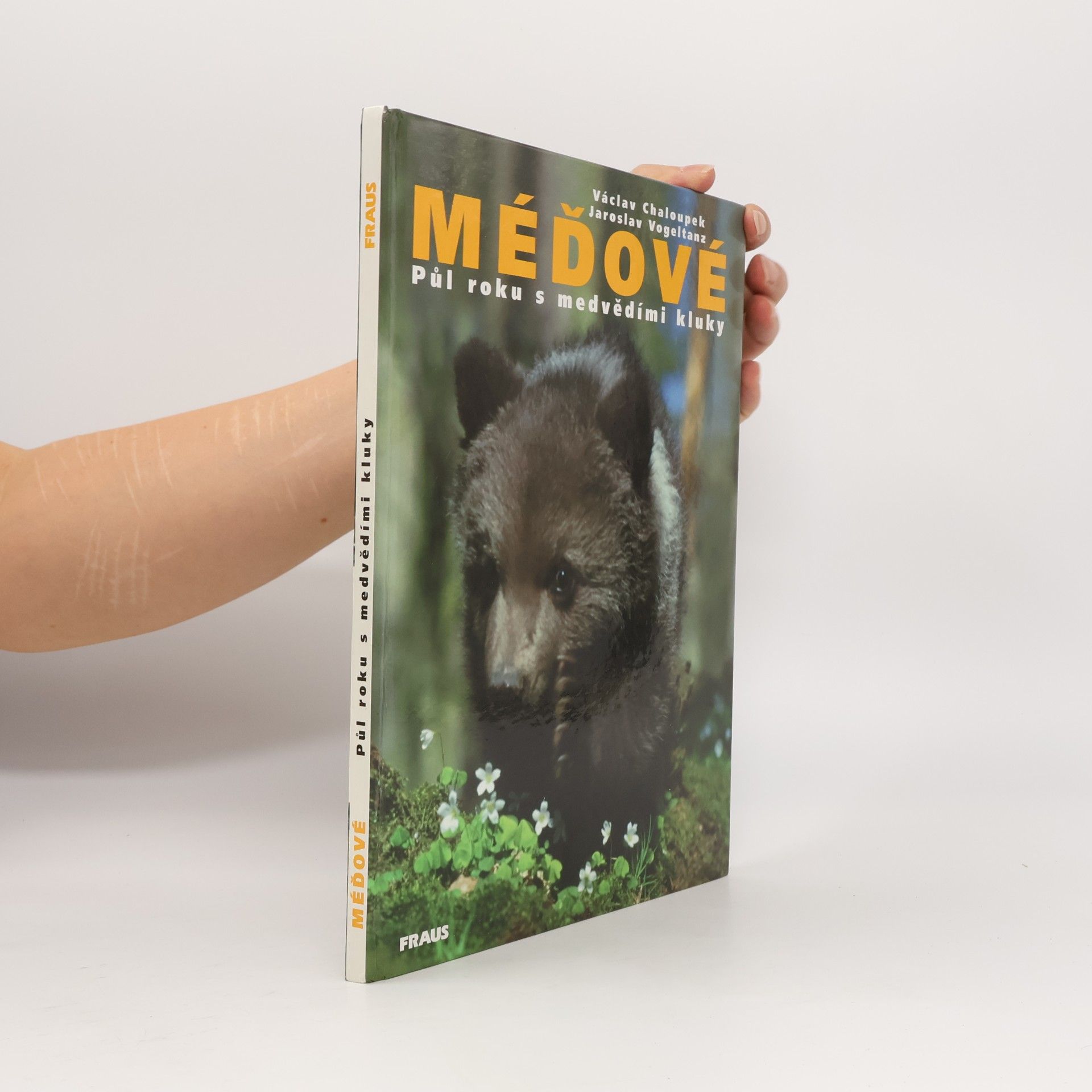 Méďové. Půl roku s medvědími kluky
