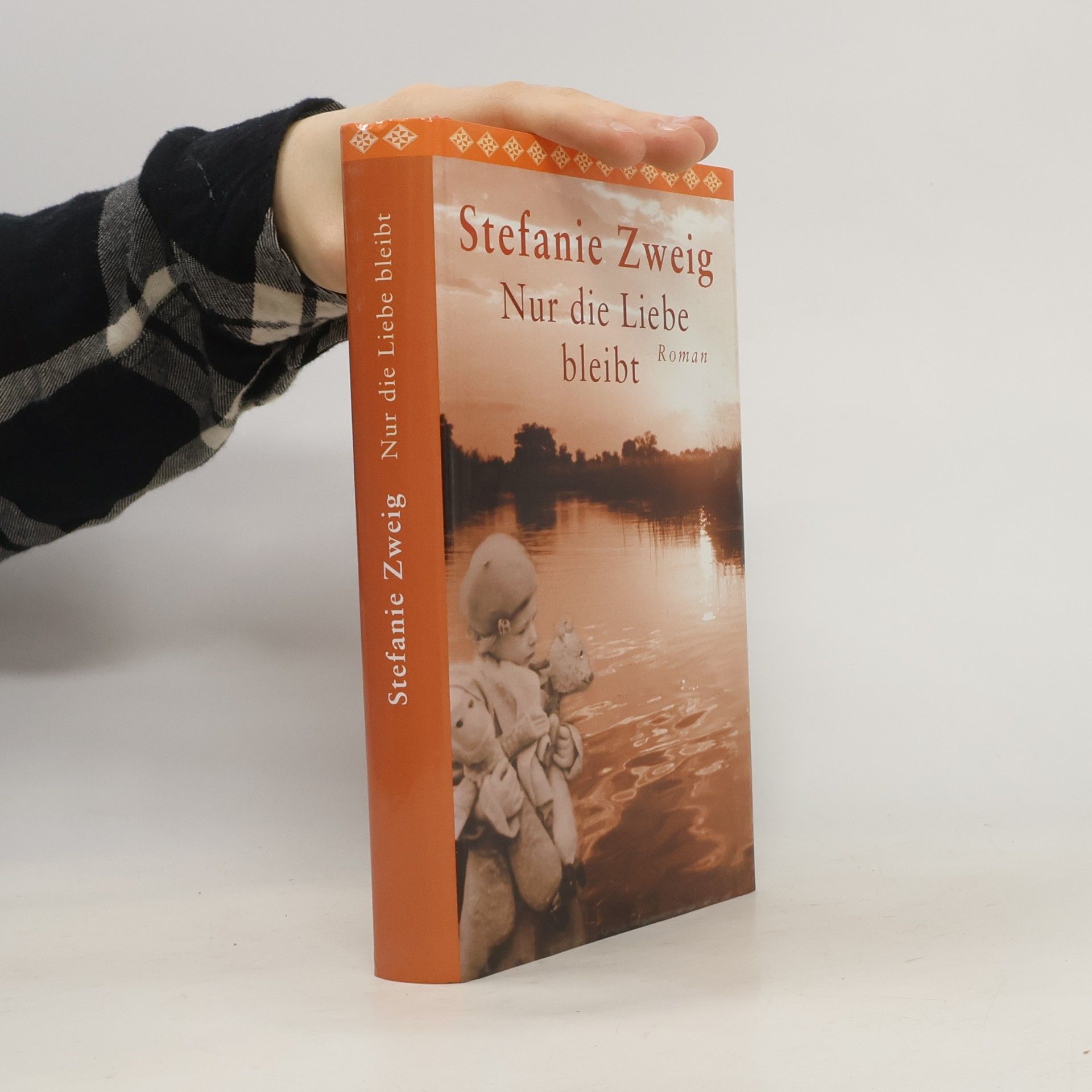 Stefanie Zweig Nur die Liebe bleibt