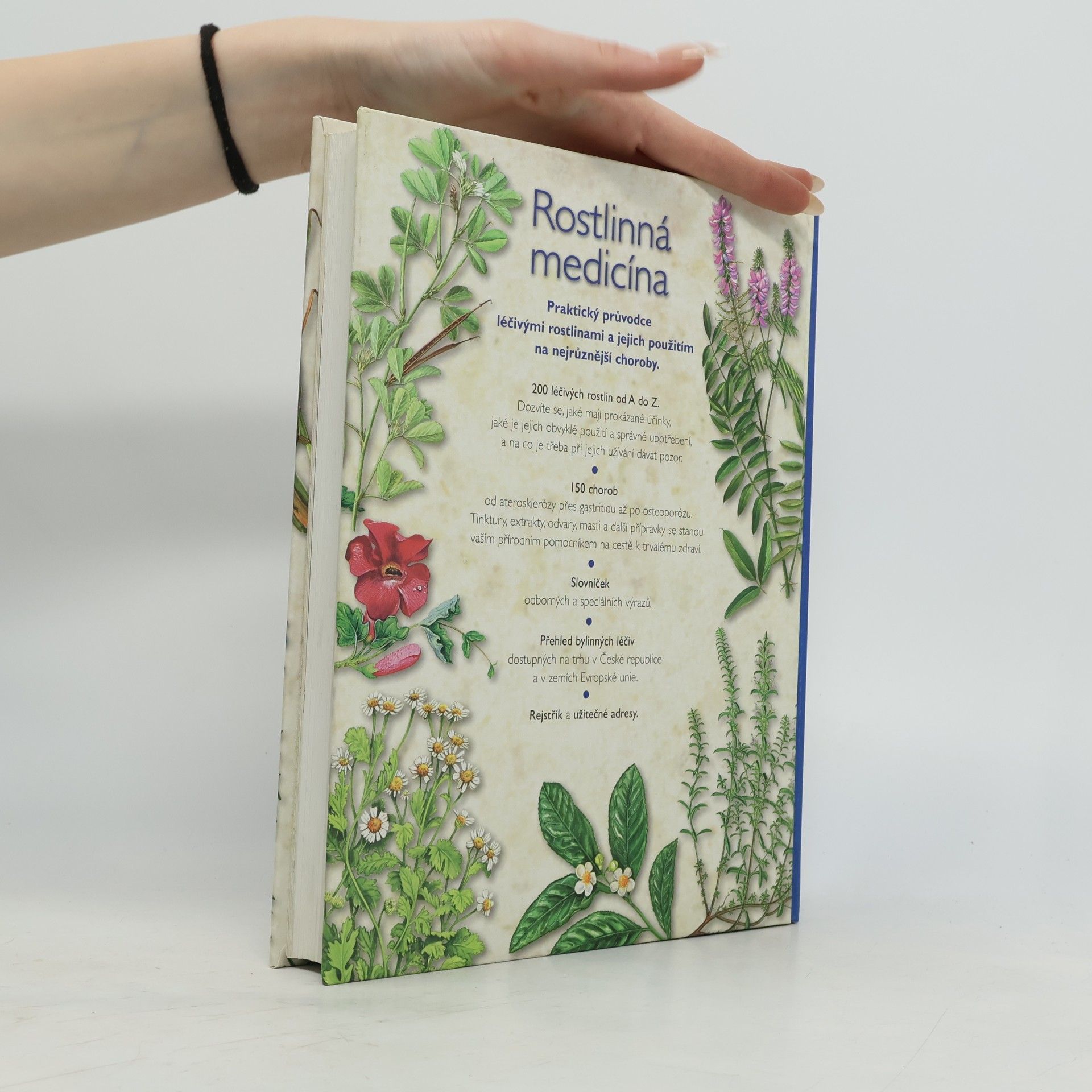 Hana Müllerová Rostlinná medicína