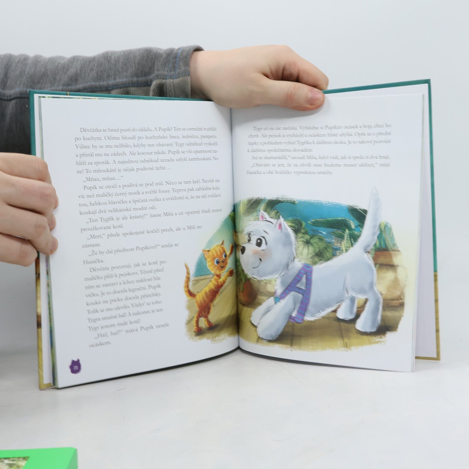 Aniela Cholewińska-Szkolik Pupík a jeho příhody: Setkání s tygrem