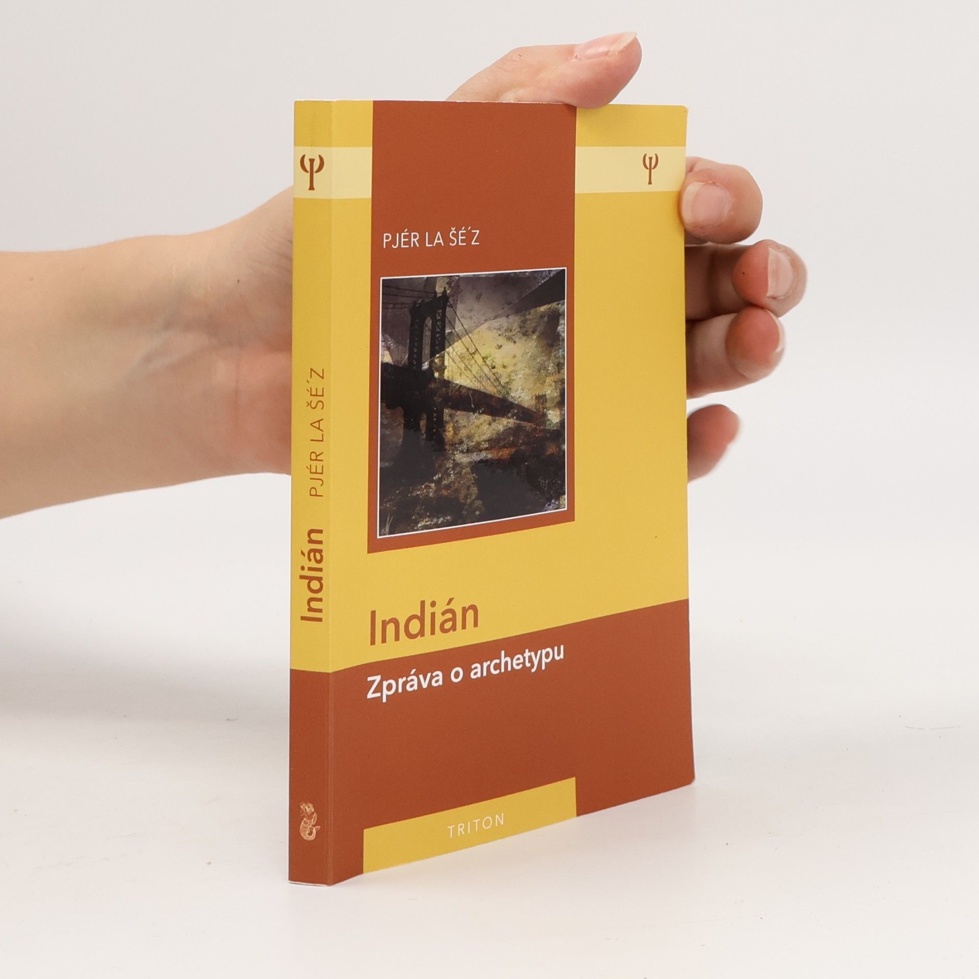 Pjér la Šéz Indián: Zpráva o archetypu