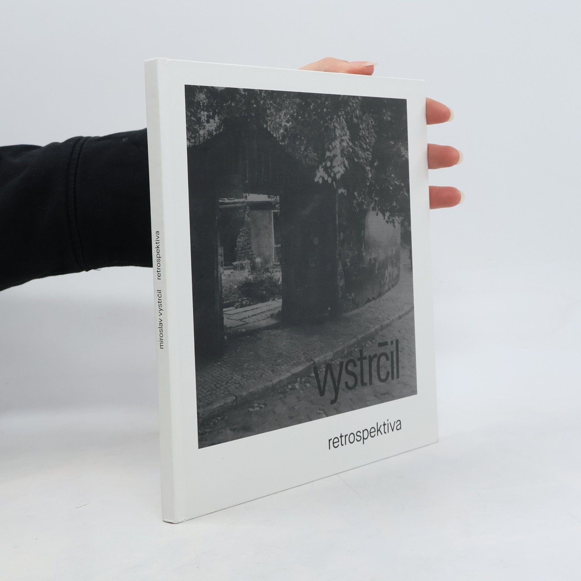 Miroslav Vystrčil. Retrospektiva