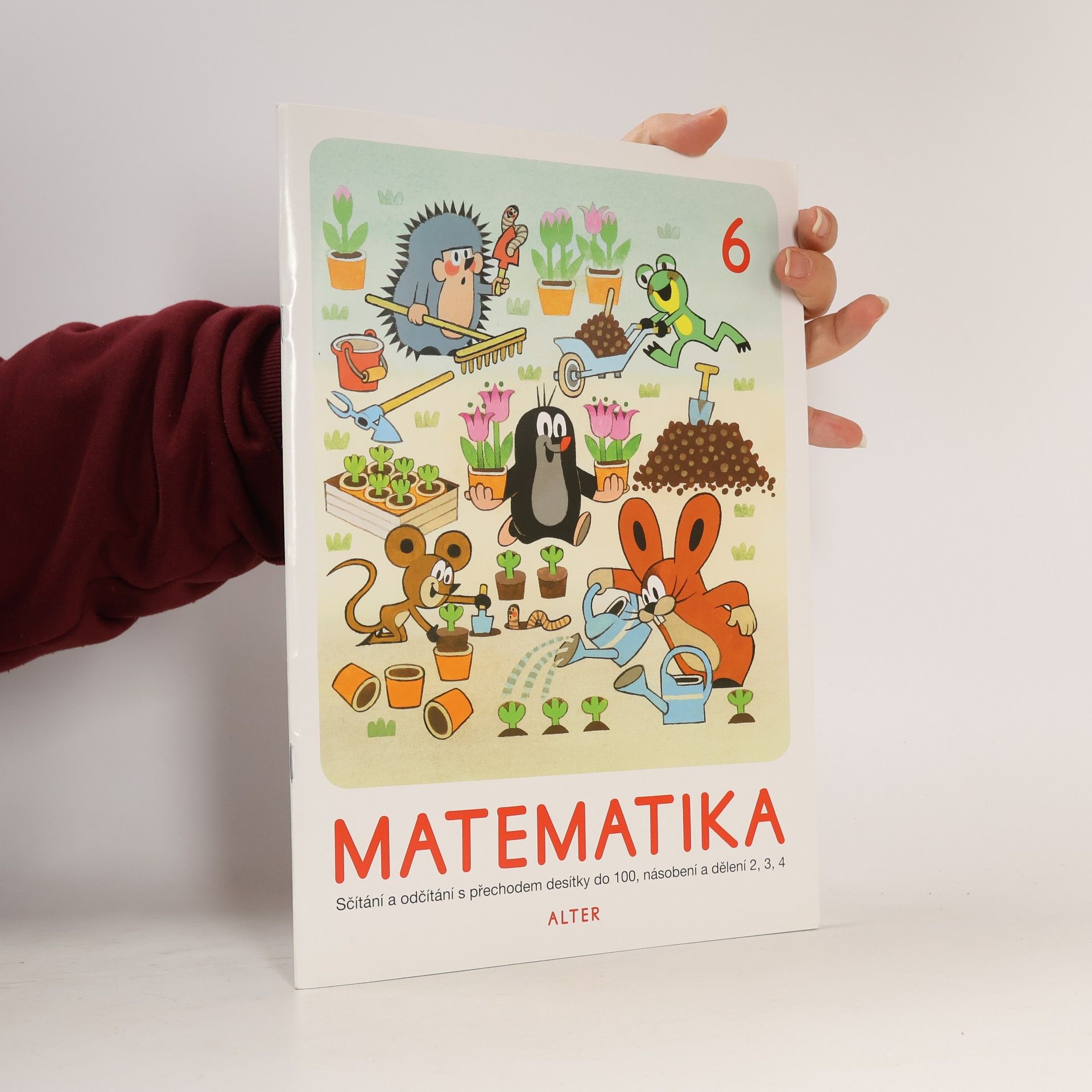 Matematika 6. Sčítání a odčítání s přechodem desítky do 100, násobení a dělení 2, 3, 4