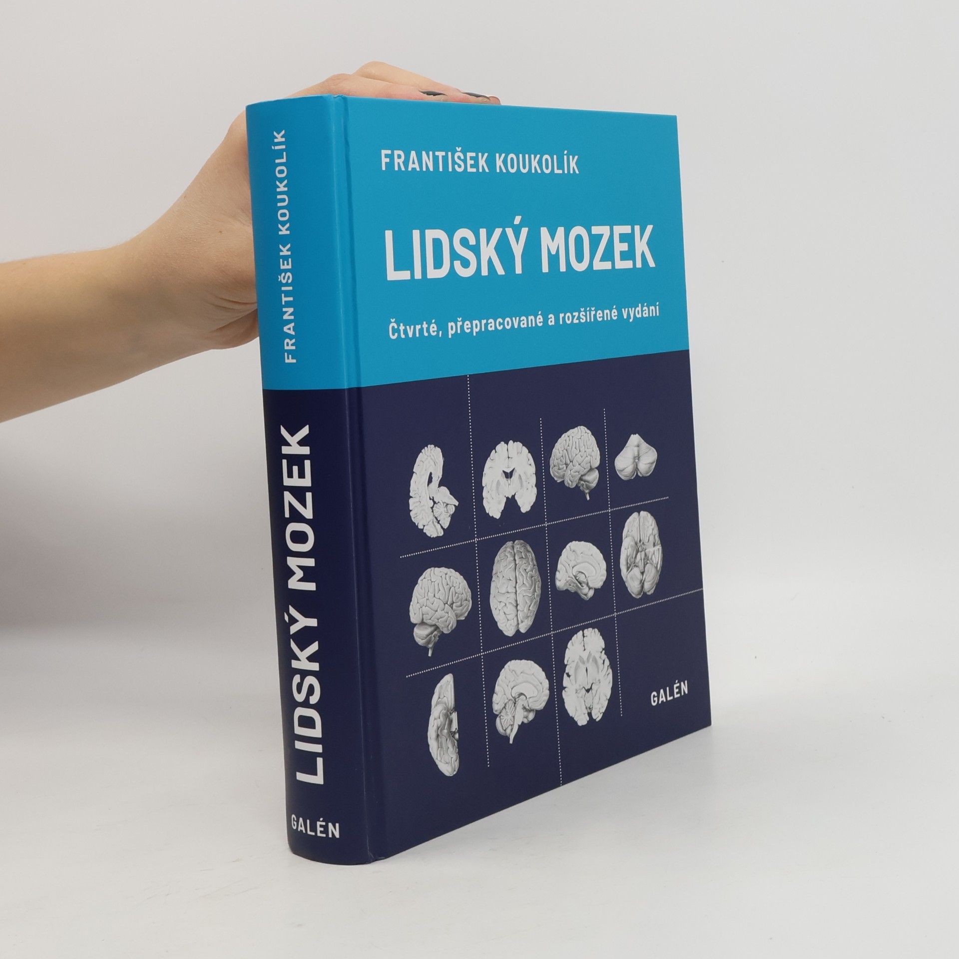 Lidský mozek