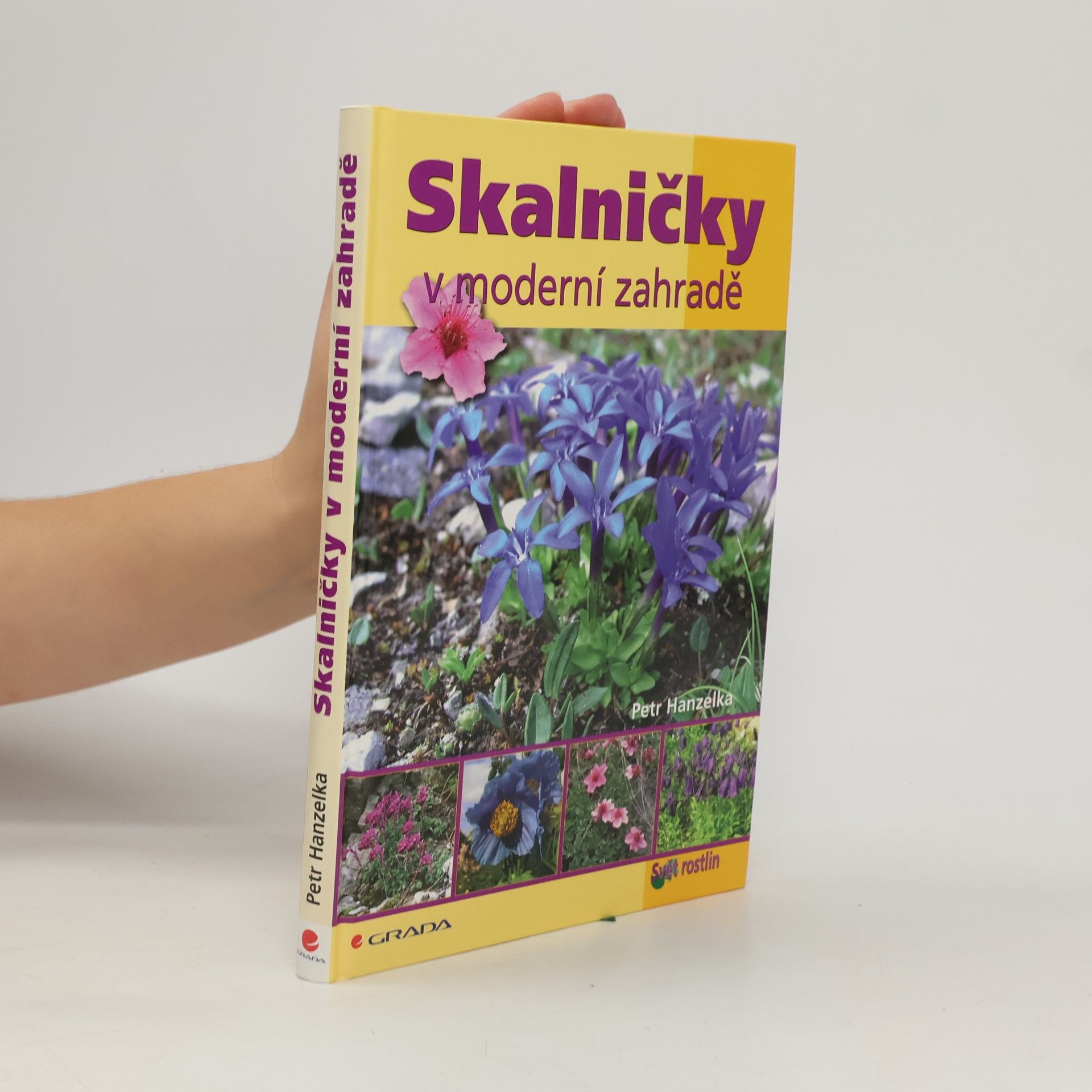 Skalničky v moderní zahradě