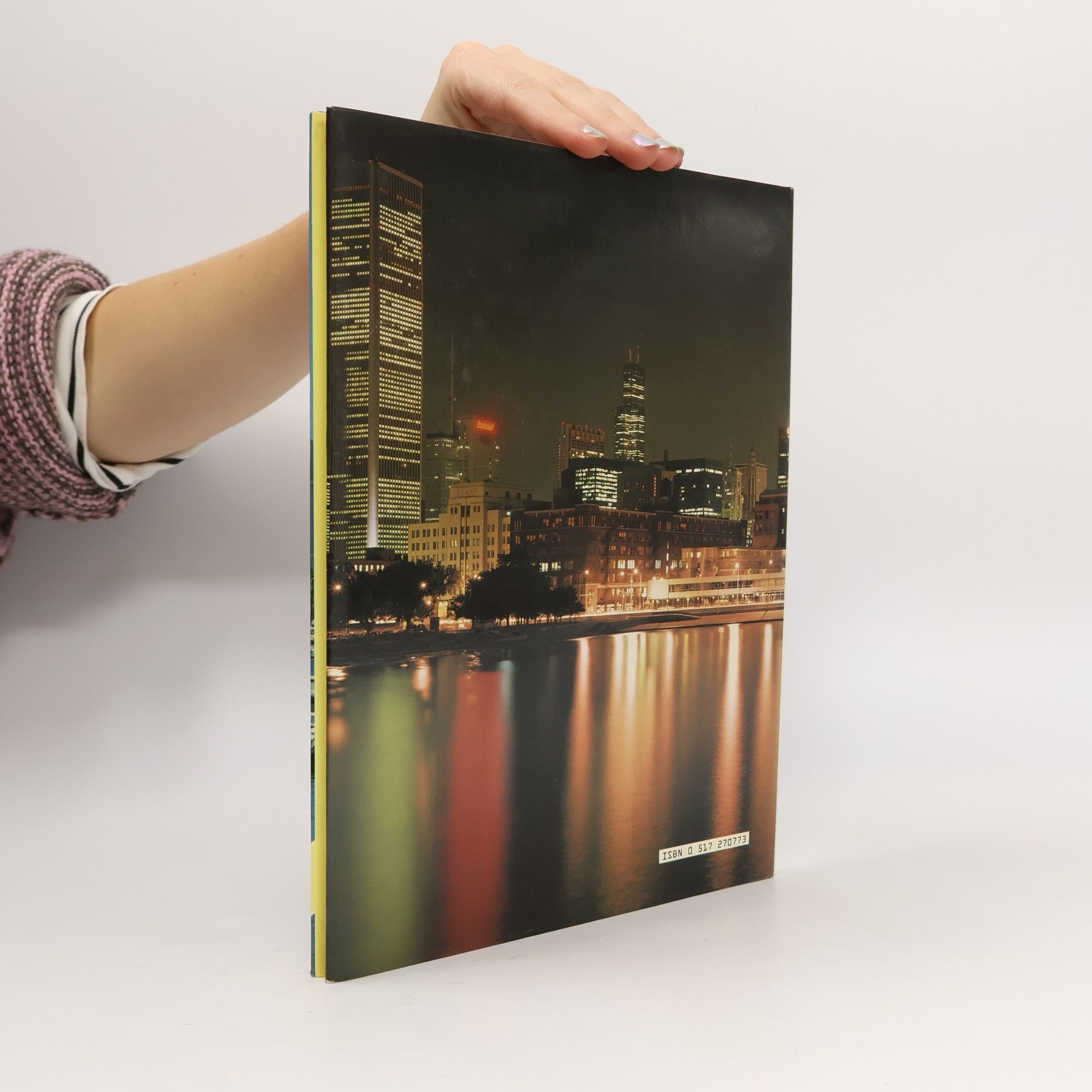 Collectif d'auteurs Chicago. A Picture Book to Remember Her by