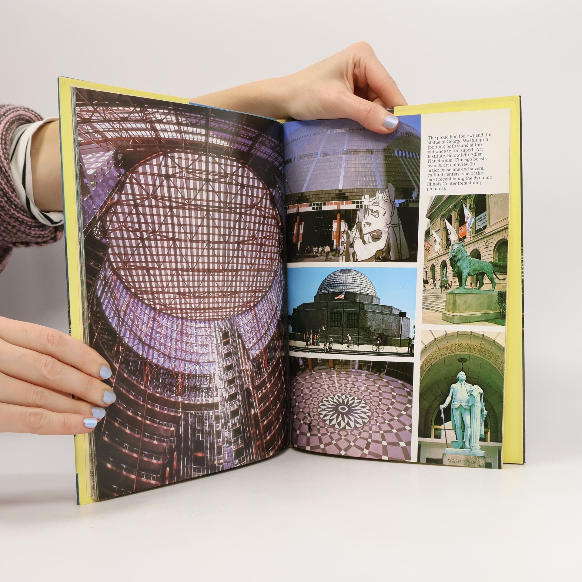 Collectif d'auteurs Chicago. A Picture Book to Remember Her by