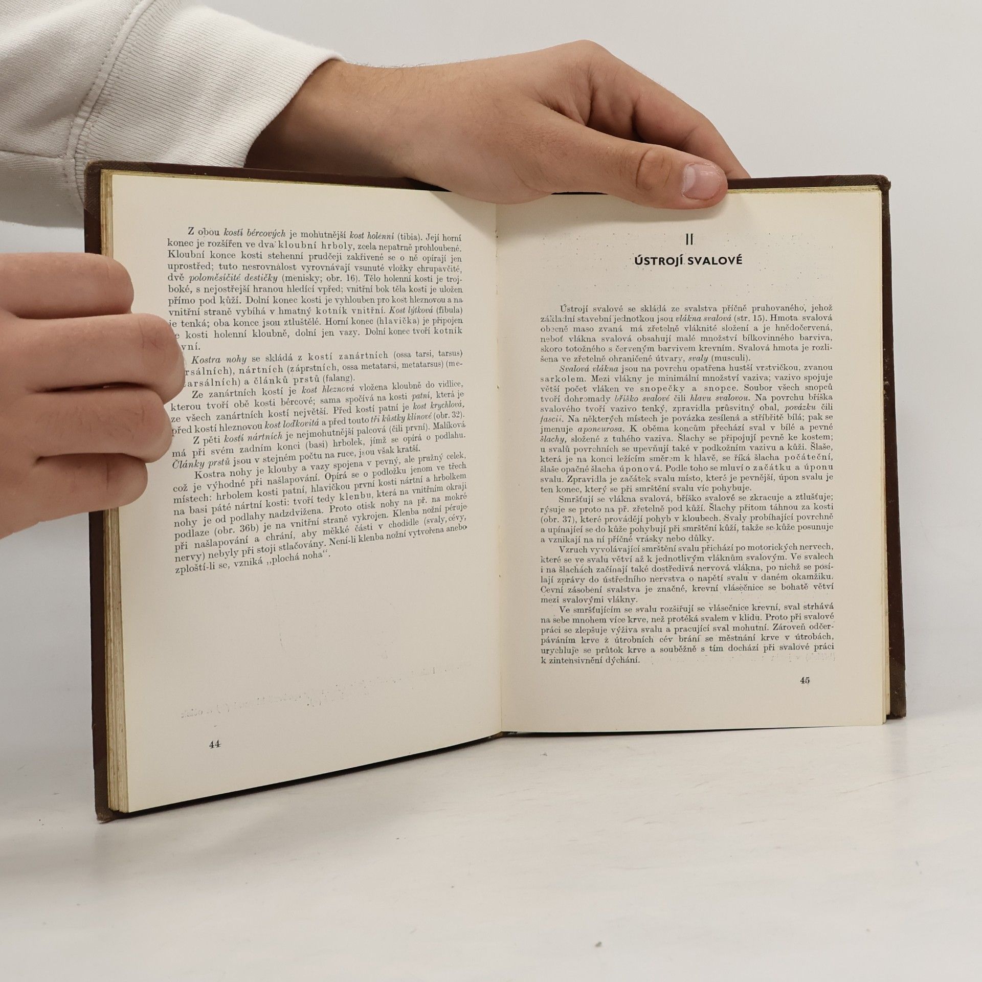 Ladislav Borovanský Anatomie pro osetrovatelky