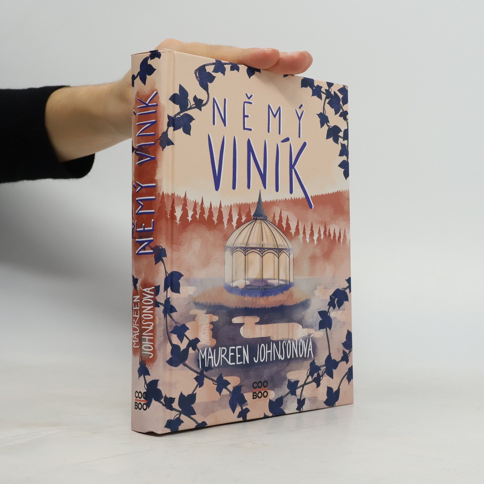 Maureen Johnson Němý viník