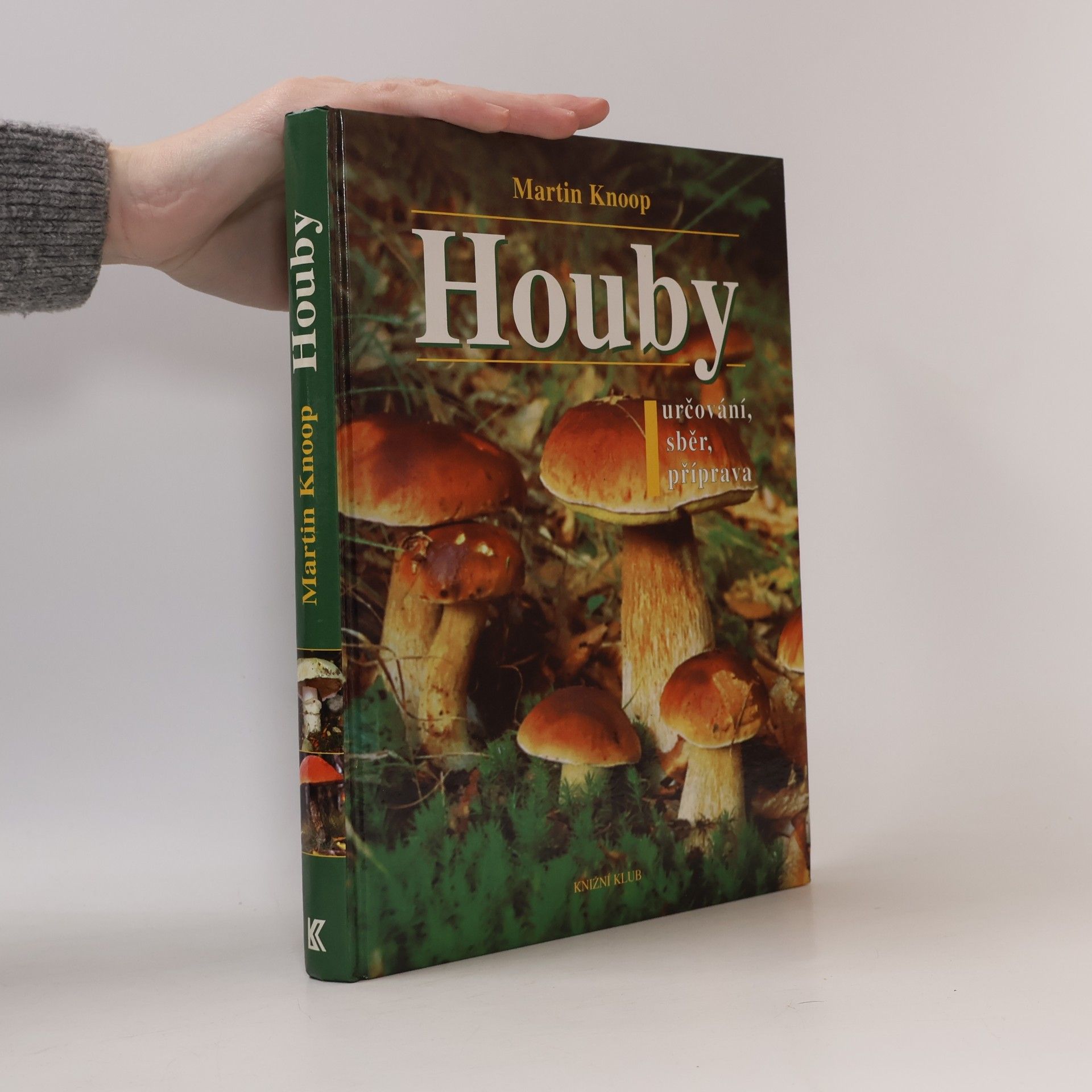 Houby : určování, sběr, příprava