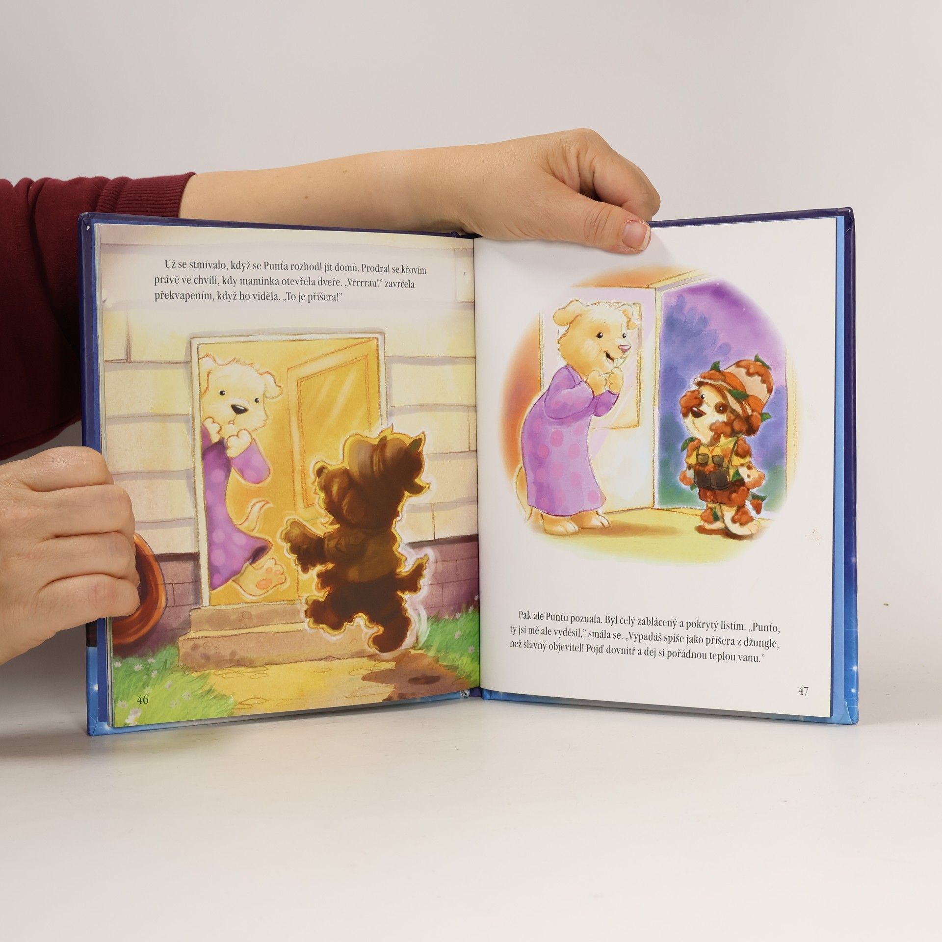 Various authors Pohádky na dobrou noc