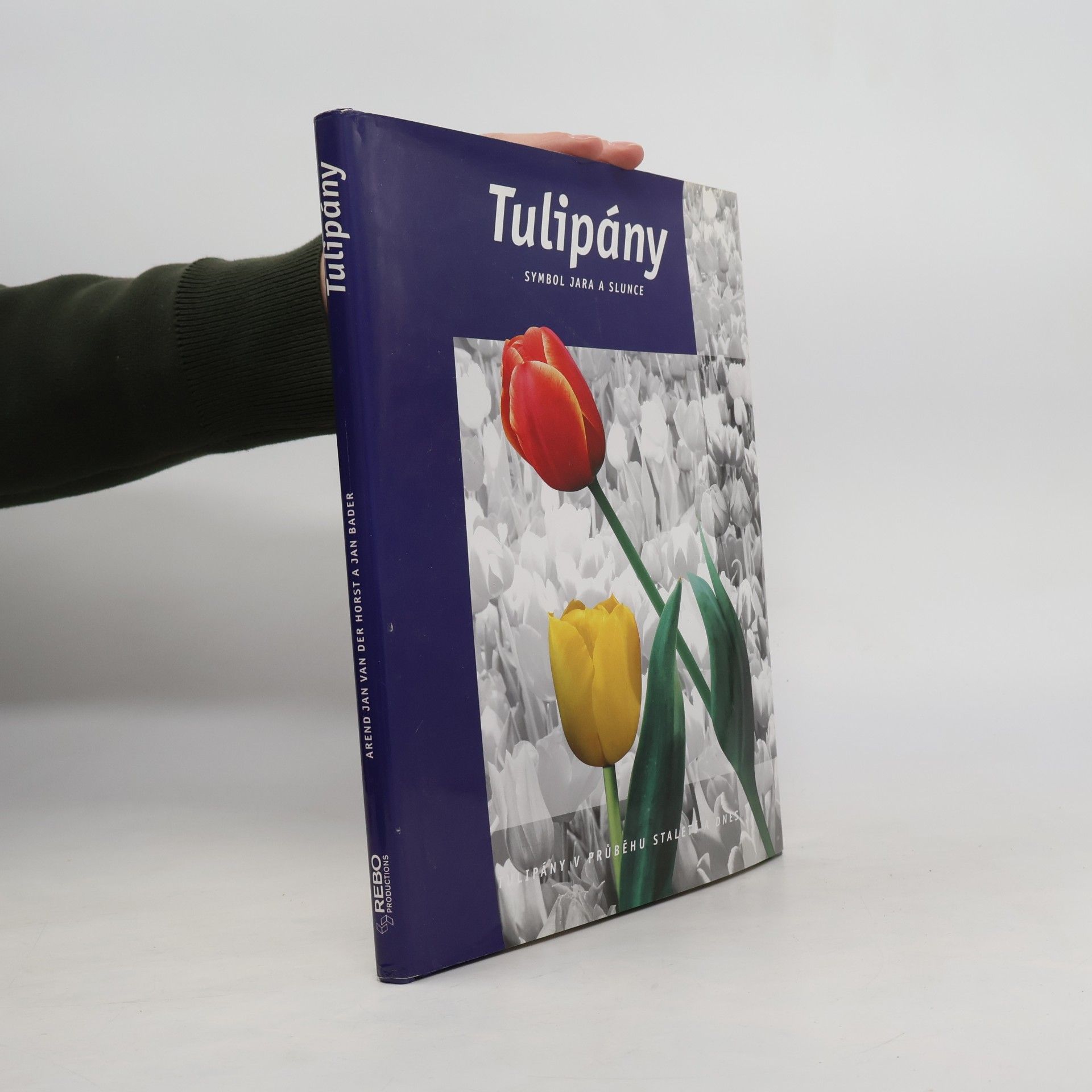 Tulipány
