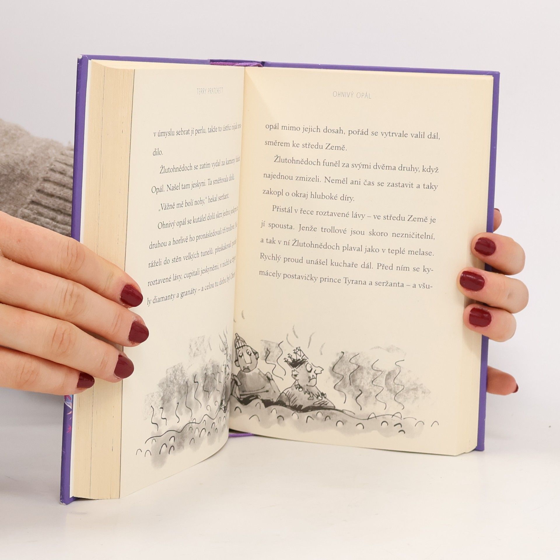 Terry Pratchett Ježibabin vysavač a jiné příběhy