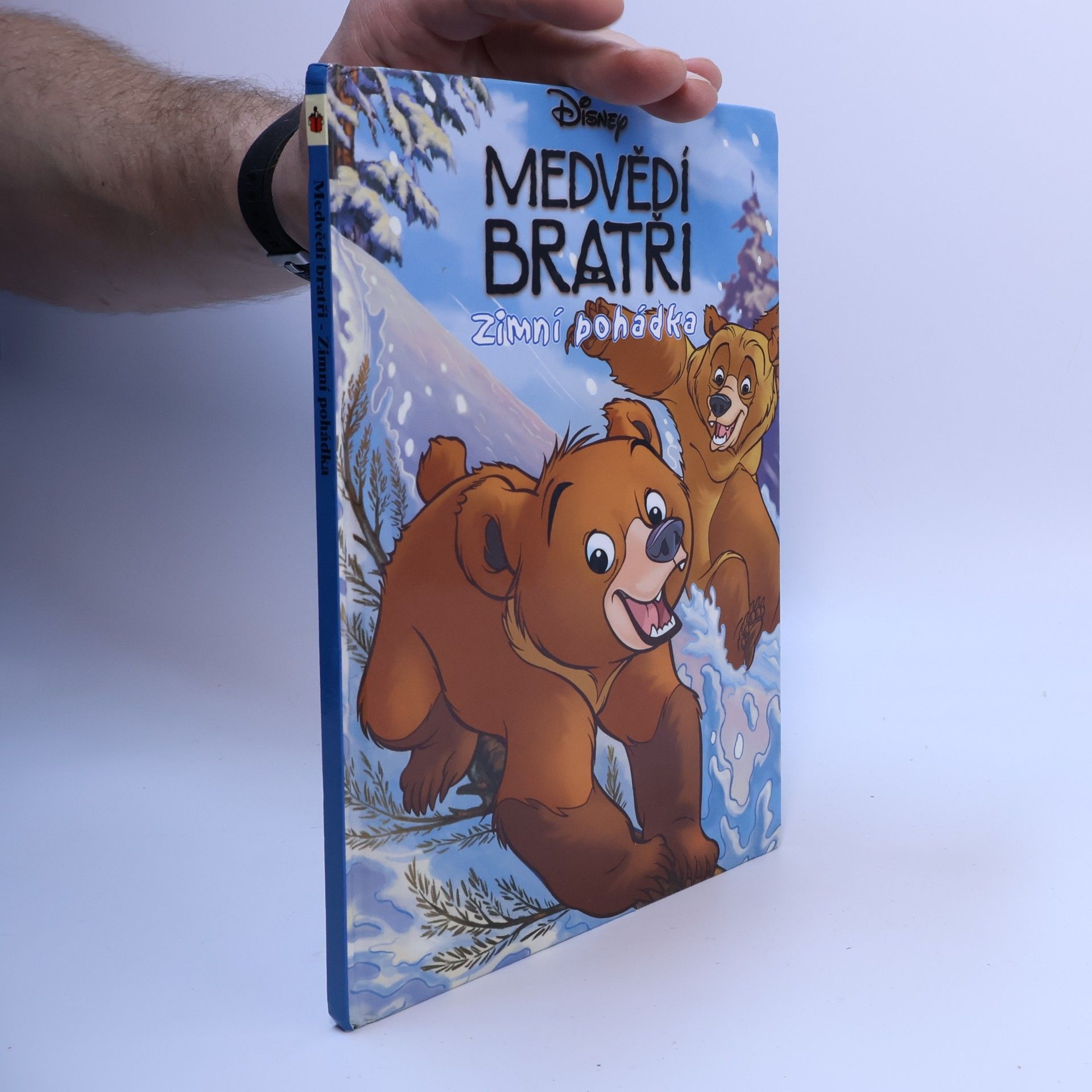 Walt Disney Medvědí bratři. Zimní pohádka