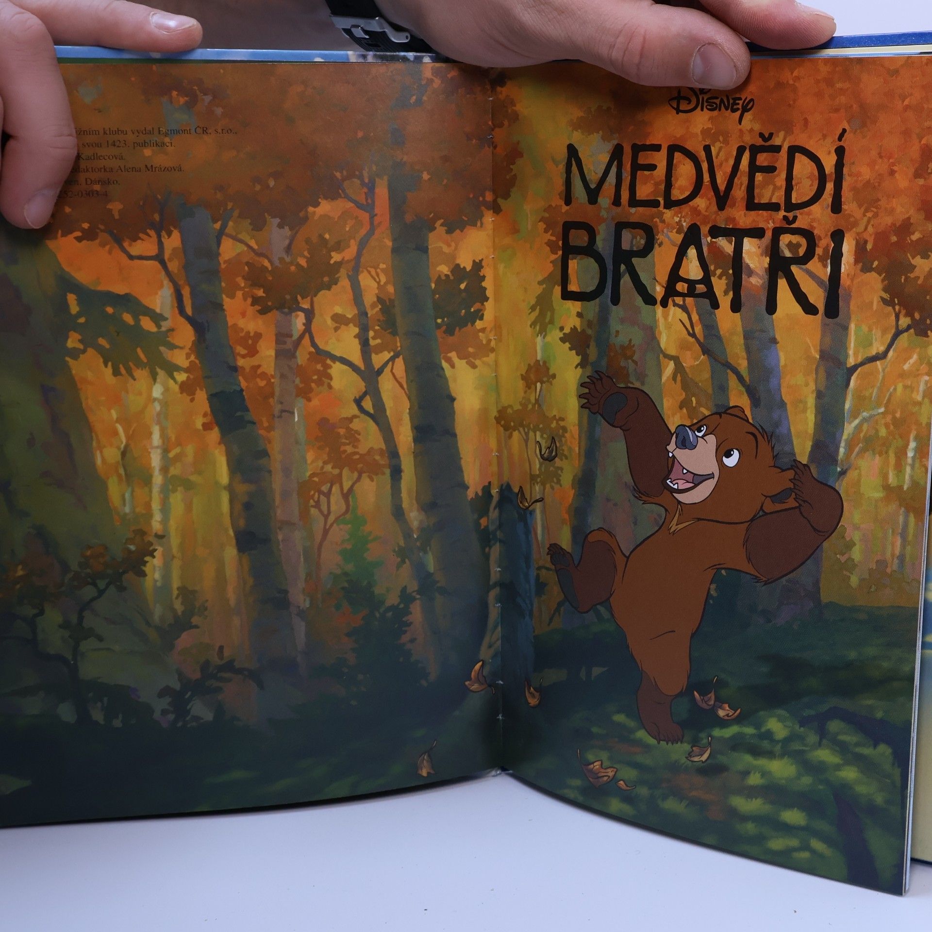 Walt Disney Medvědí bratři. Zimní pohádka