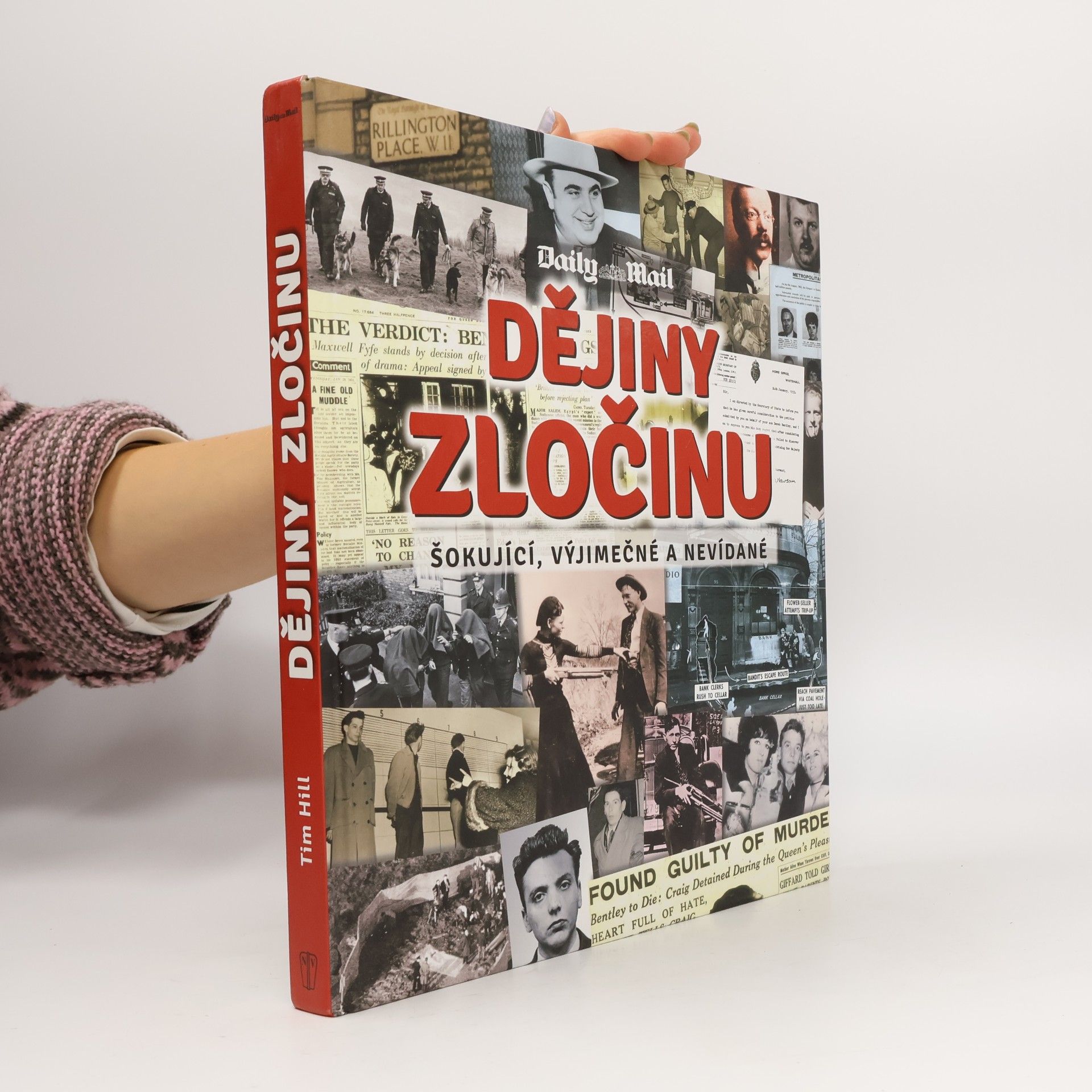 Tim Hill Dějiny zločinu : šokující, výjimečné a nevídané