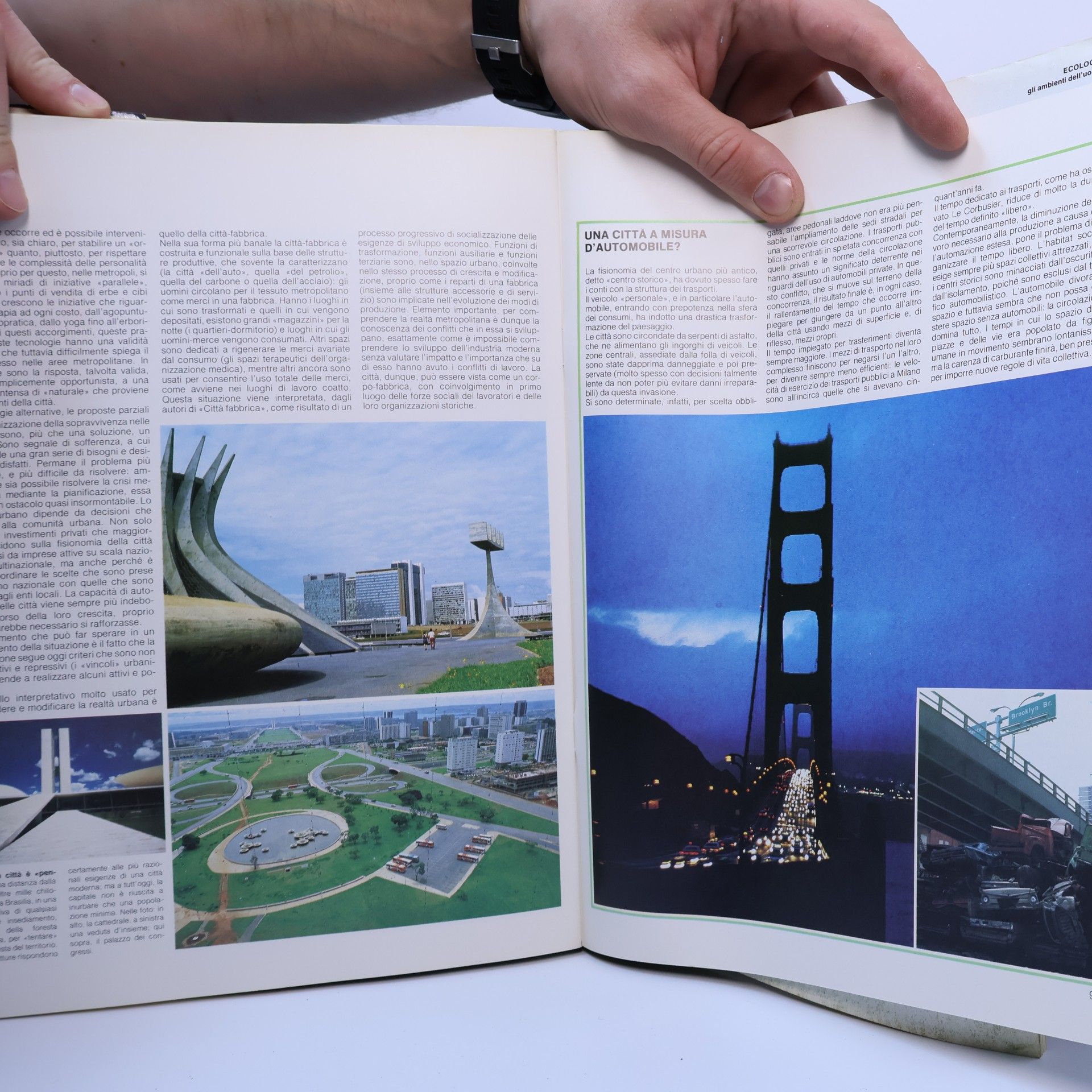 Angus Hudson GRANDE ENCICLOPEDIA FABBRI DELLA NATURA 12