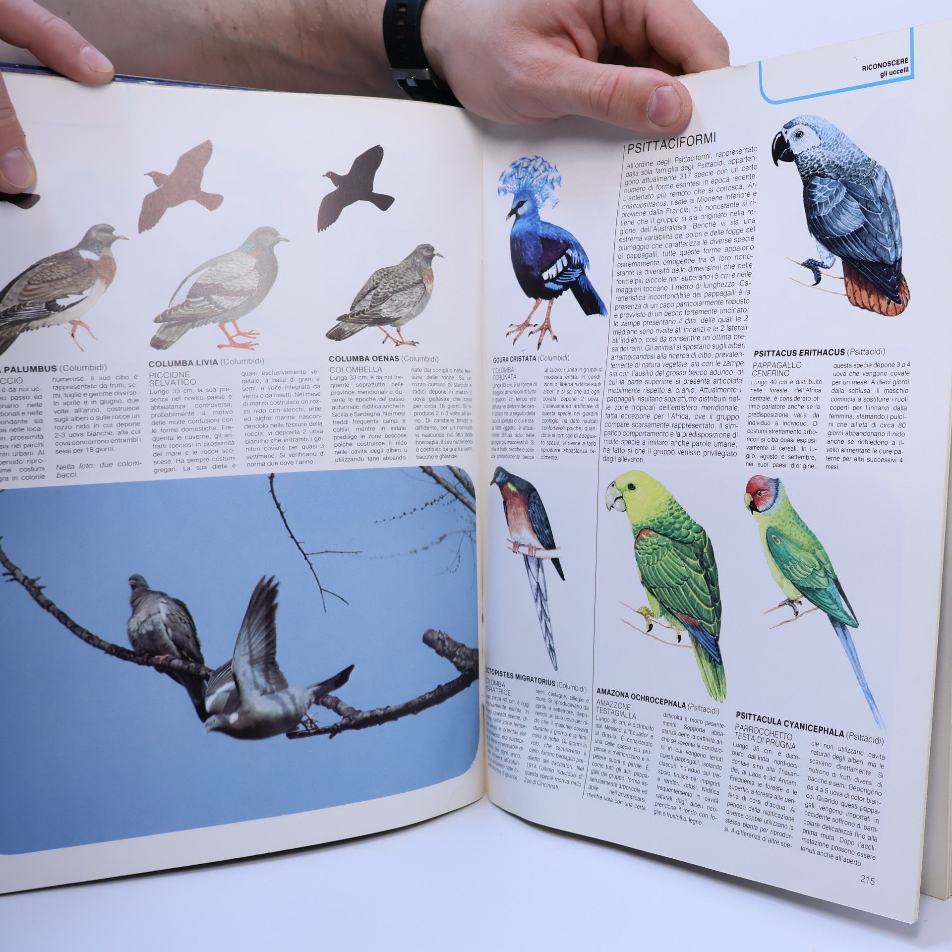 Various authors Grande Enciclopedia Fabbri della Natura 10