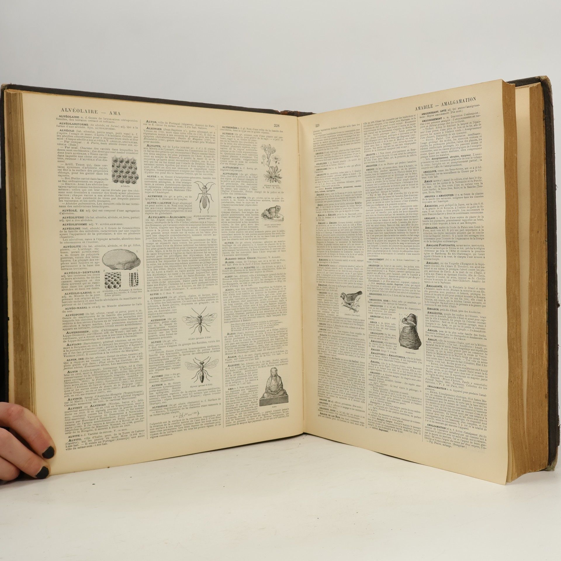 Various authors Nouveau Larousse Illustré