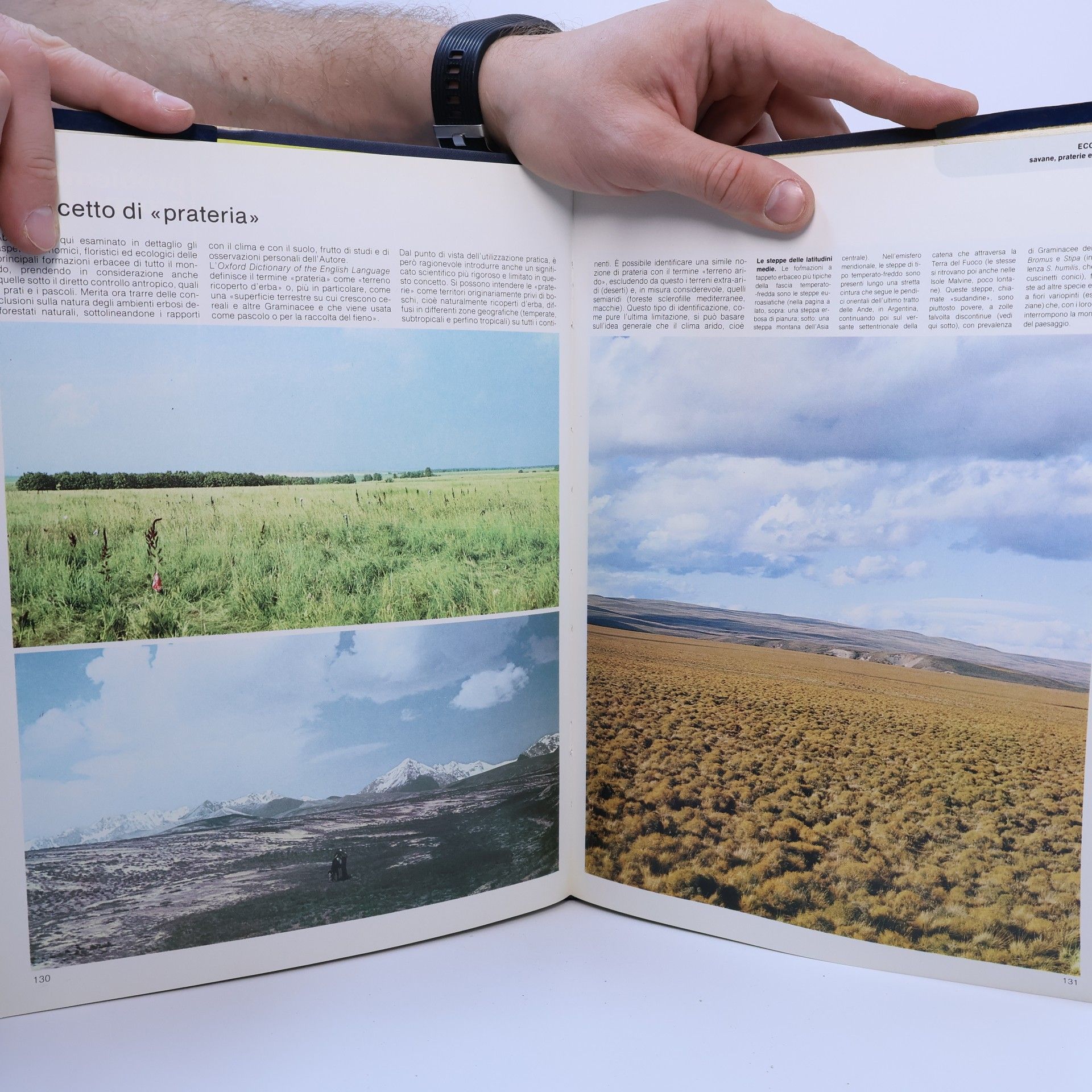 Various authors Grande enciclopedia Fabbri della natura 7