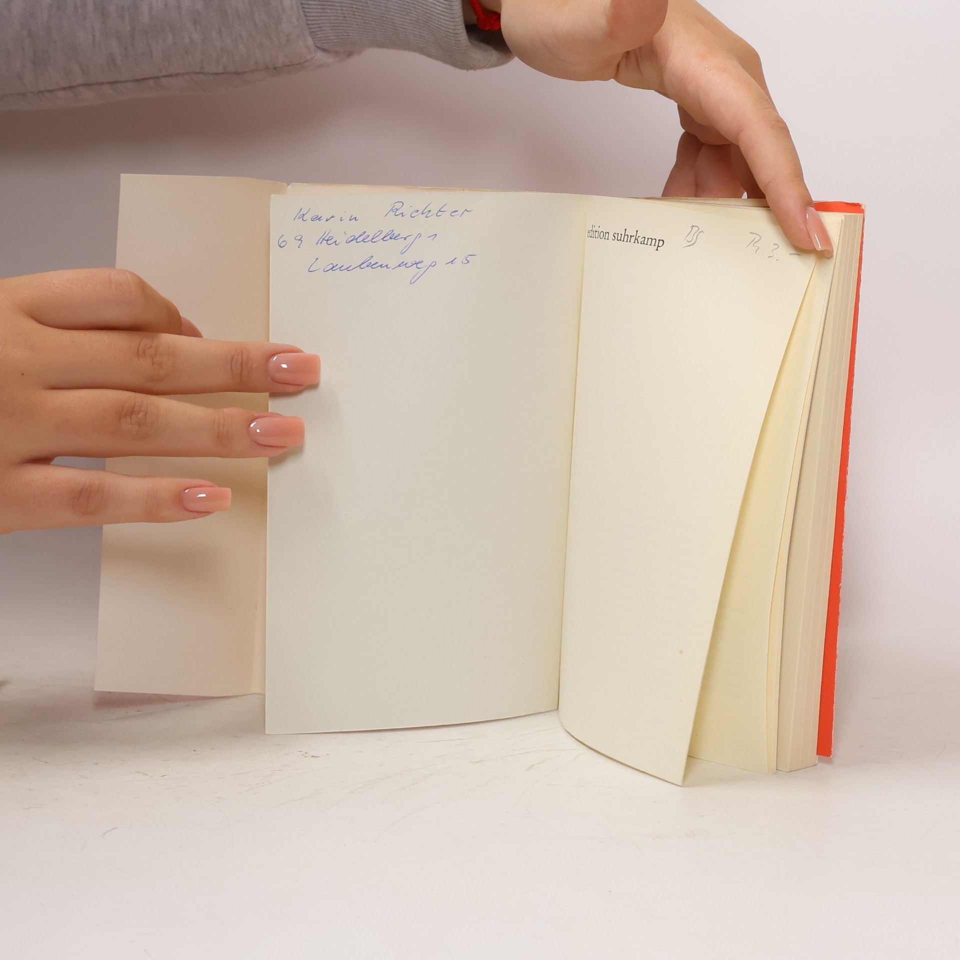 Collectif d'auteurs Über Ludwig Wittgenstein