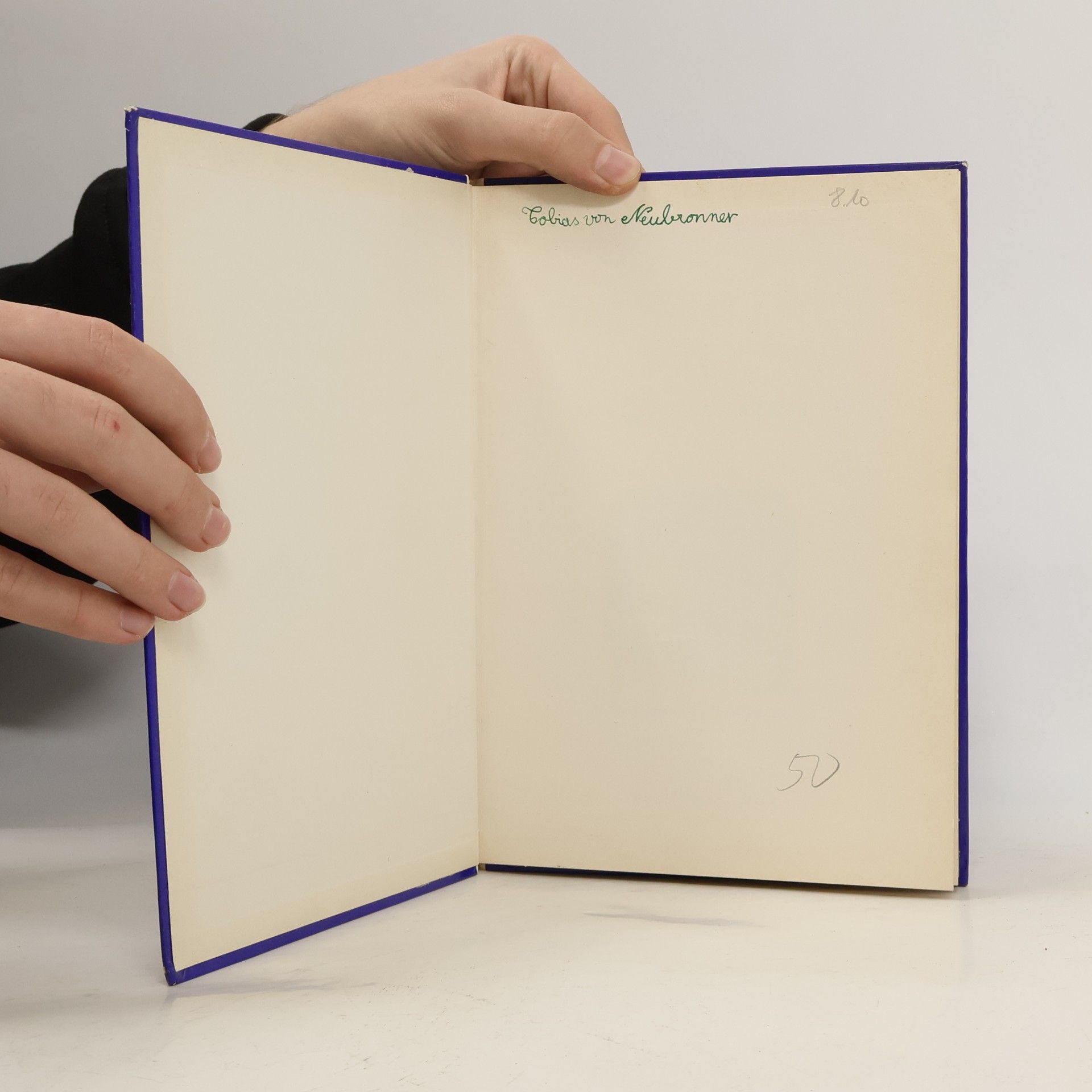 A. Bonifacio Histoire des Francs