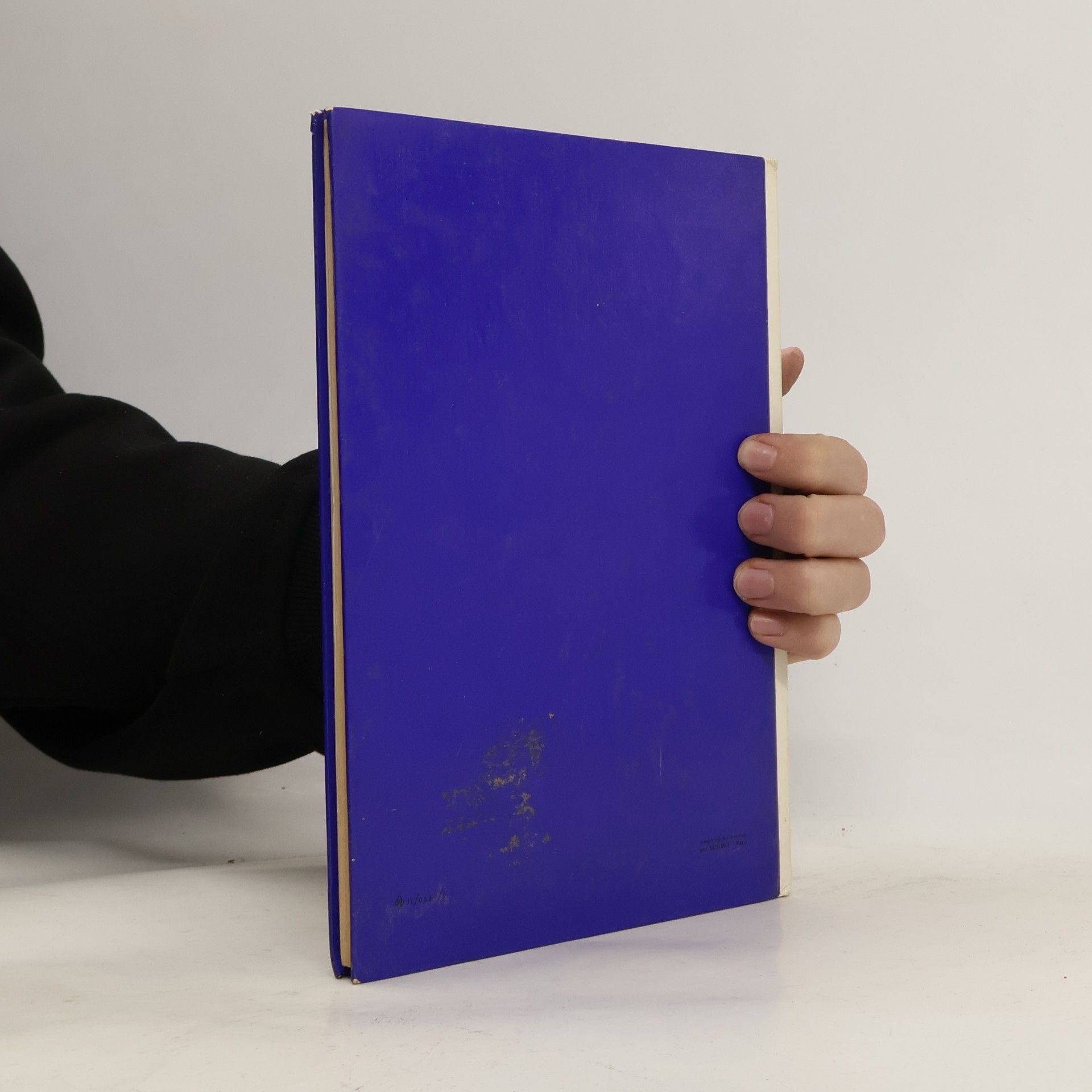 A. Bonifacio Histoire des Francs