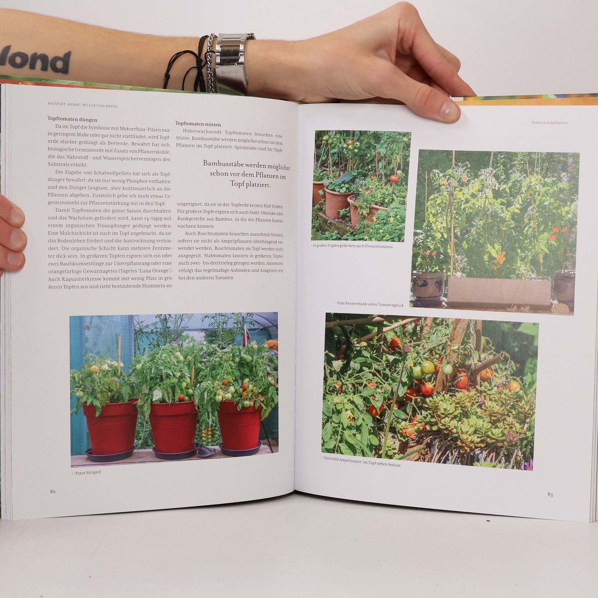 Ute Studer Tomatenglück