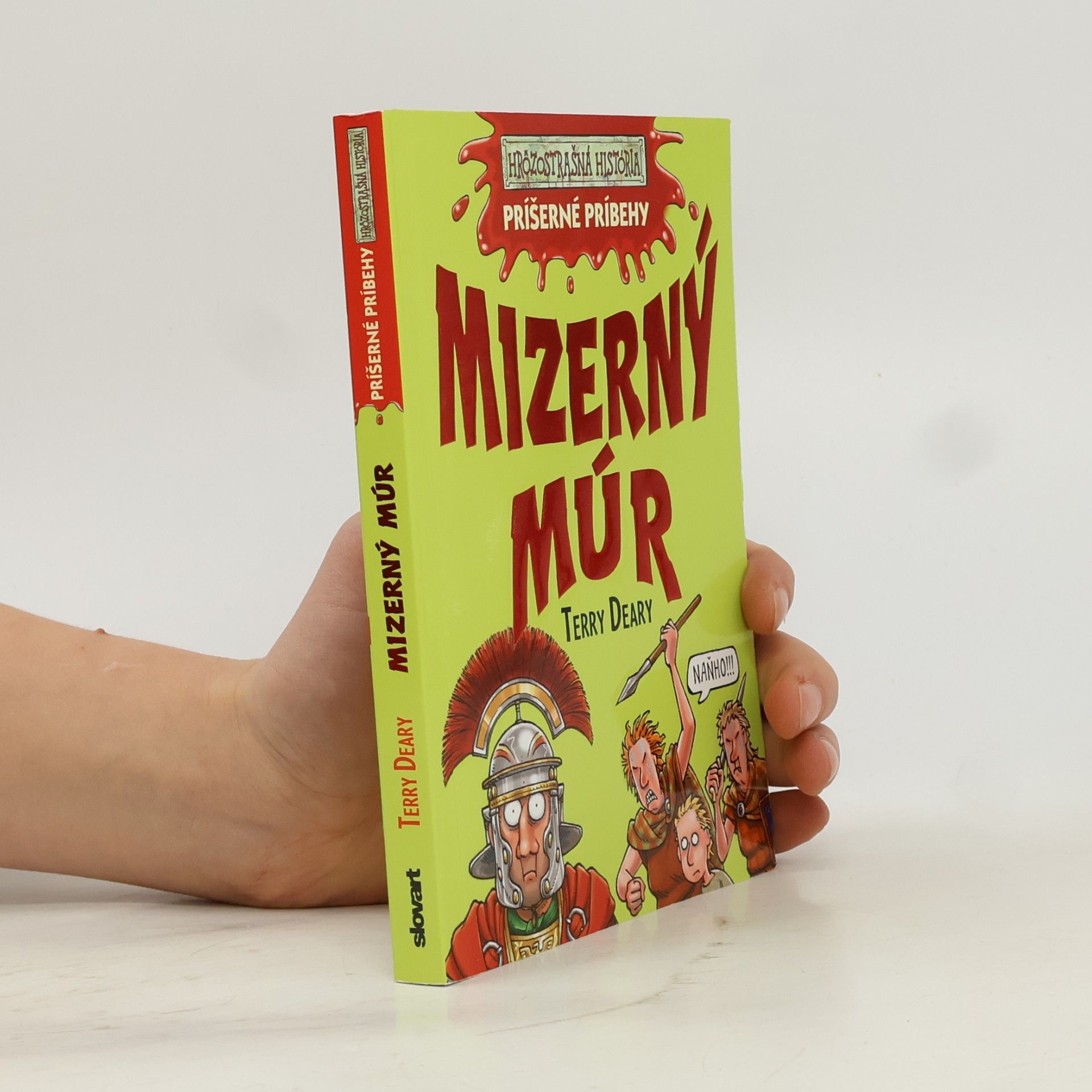 Mizerný múr