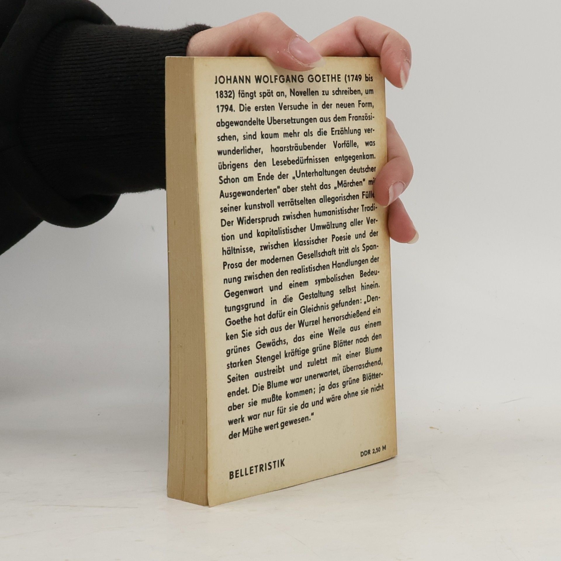 Johann Wolfgang von Goethe Novellen