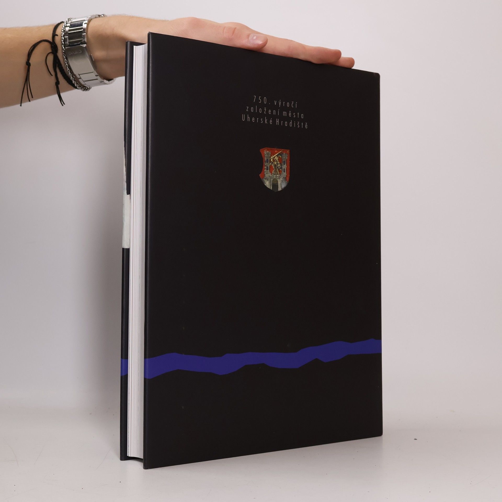 Autorenkollektiv Uherské Hradiště. Královské město na řece Moravě