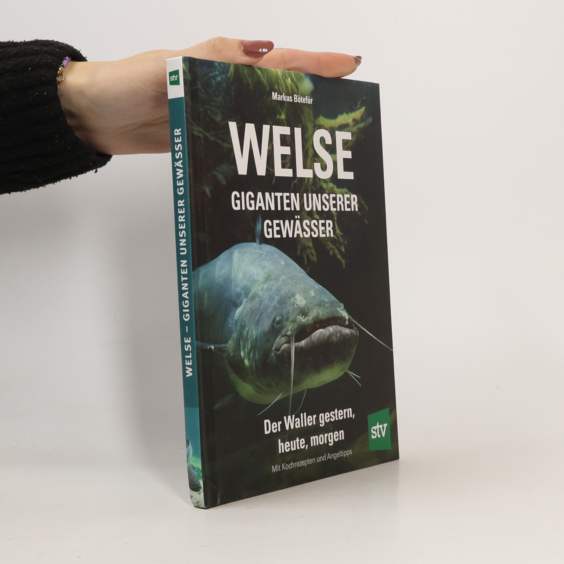 Welse - Giganten unserer Gewässer