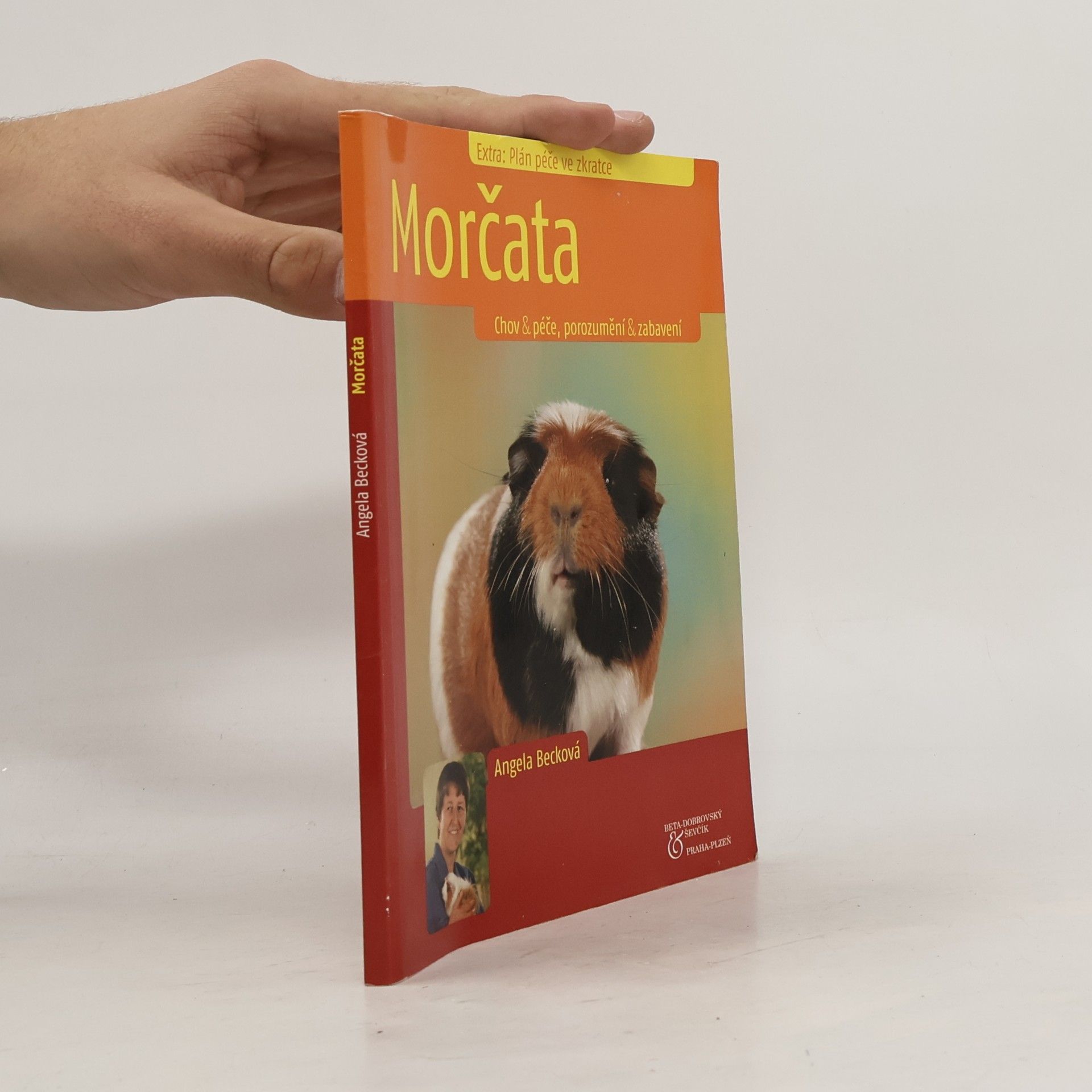 Morčata. Chov & péče, porozumění & zabavení