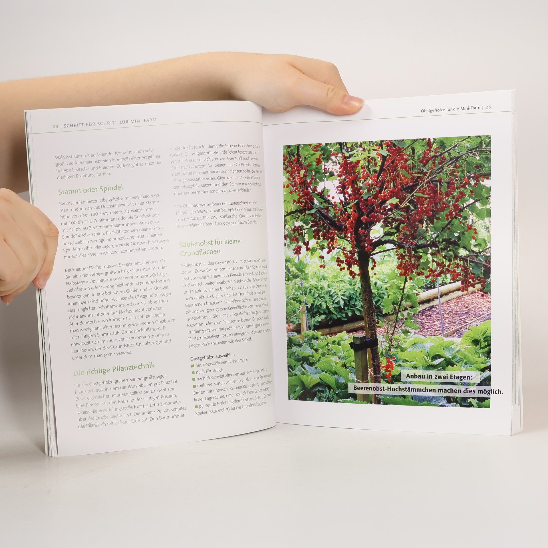 Brunhilde Bross Burkhardt Praxisbuch Mini-Farming