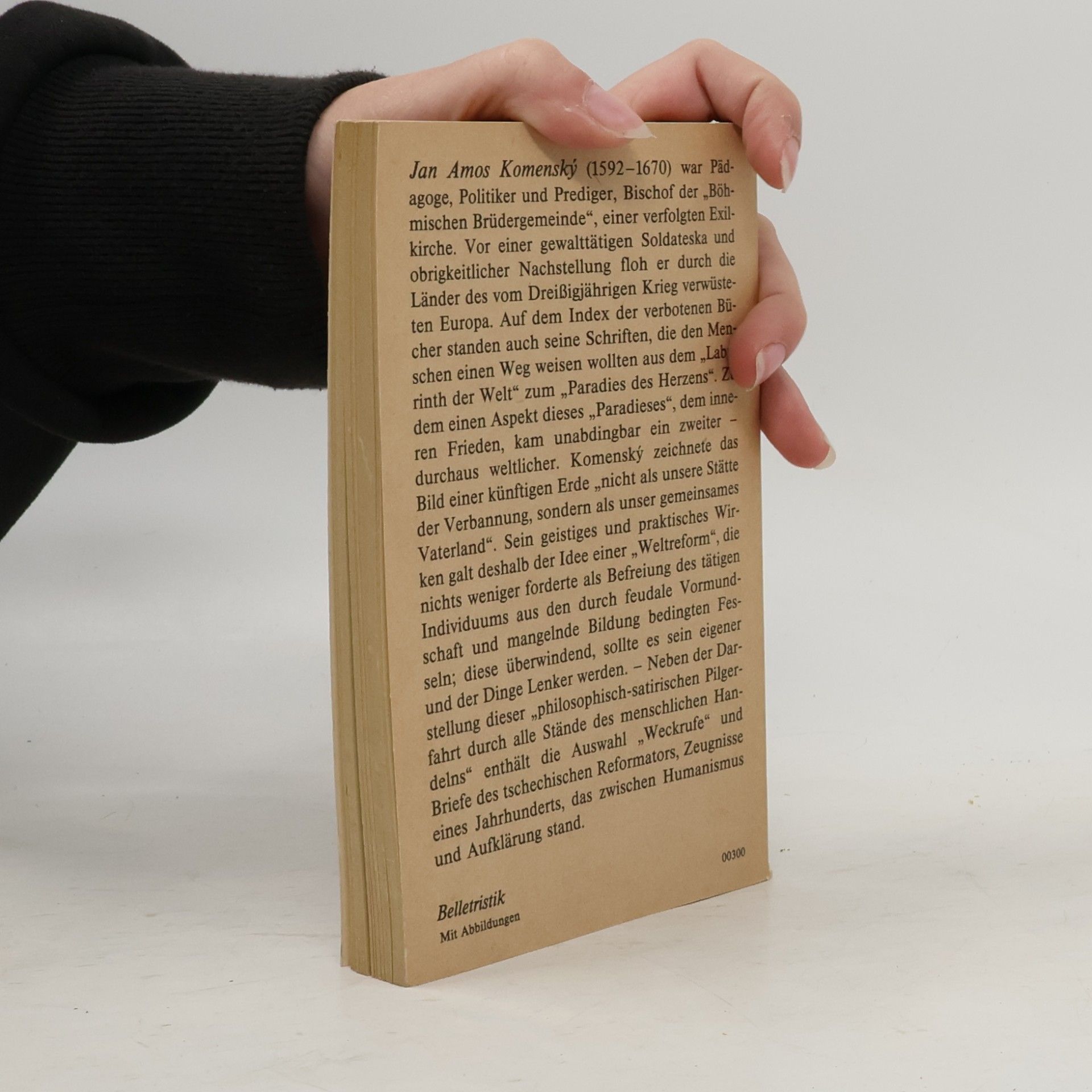 John Amos Comenius Das Labyrinth der Welt und andere Schriften