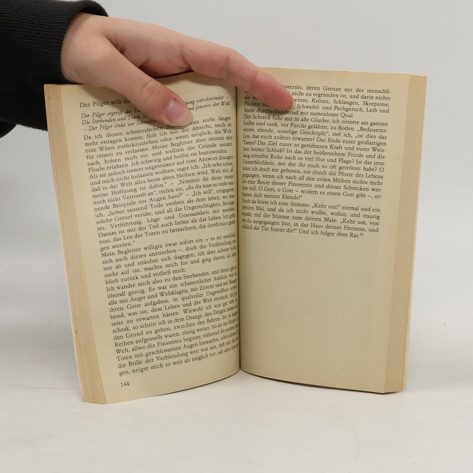 John Amos Comenius Das Labyrinth der Welt und andere Schriften