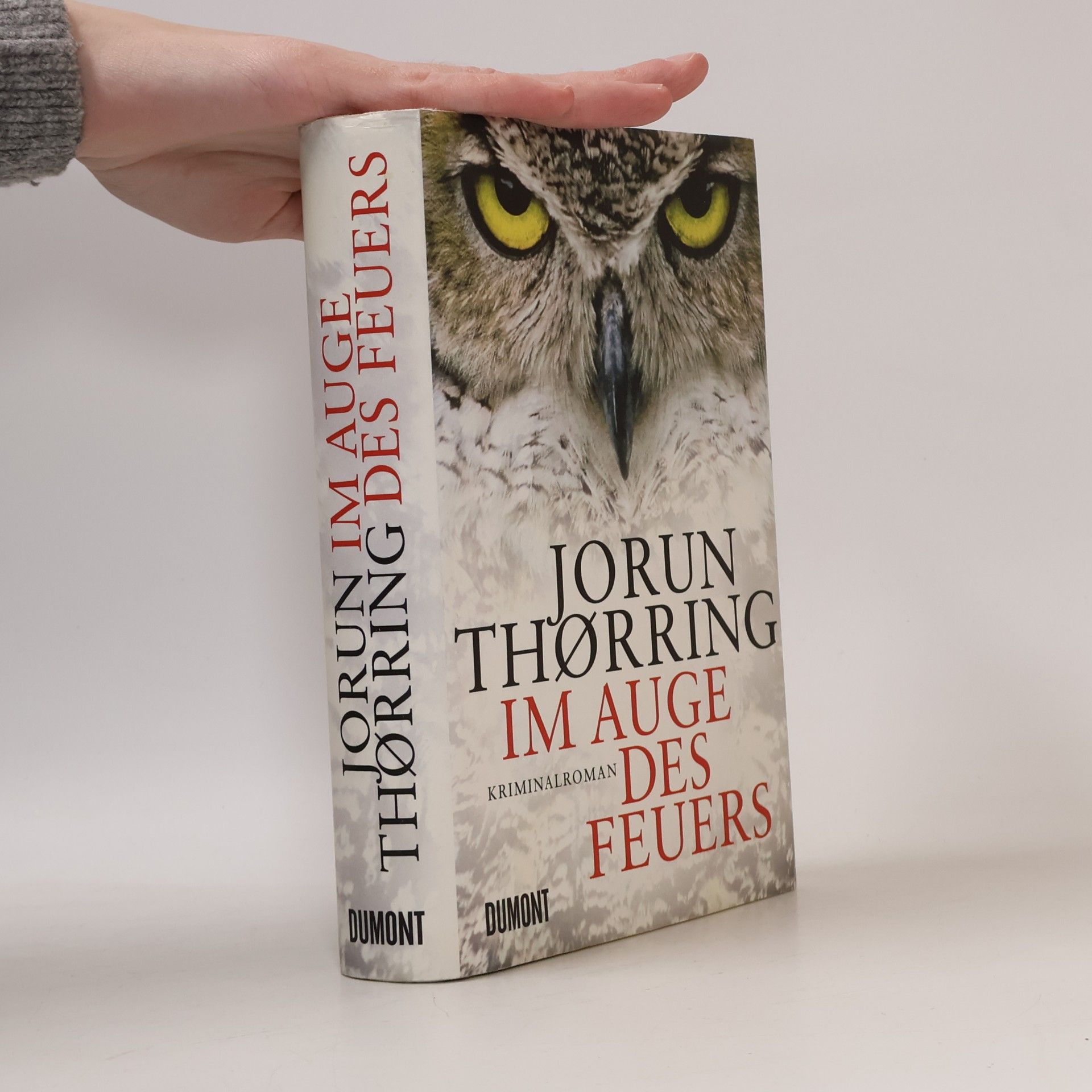 Jorun Thørring Im Auge des Feuers